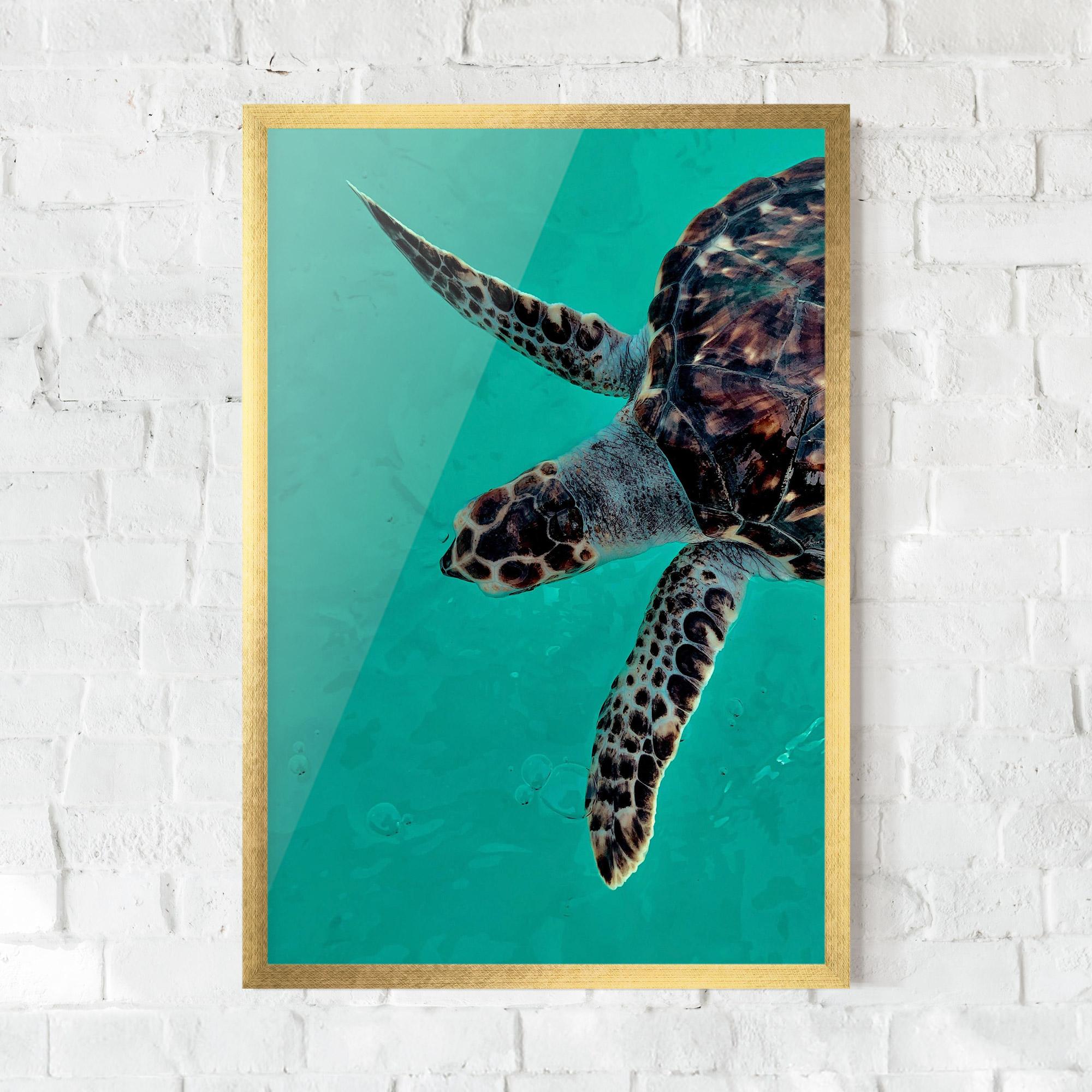 Plakat w Ramie Turtle Sweeming mockup 0
