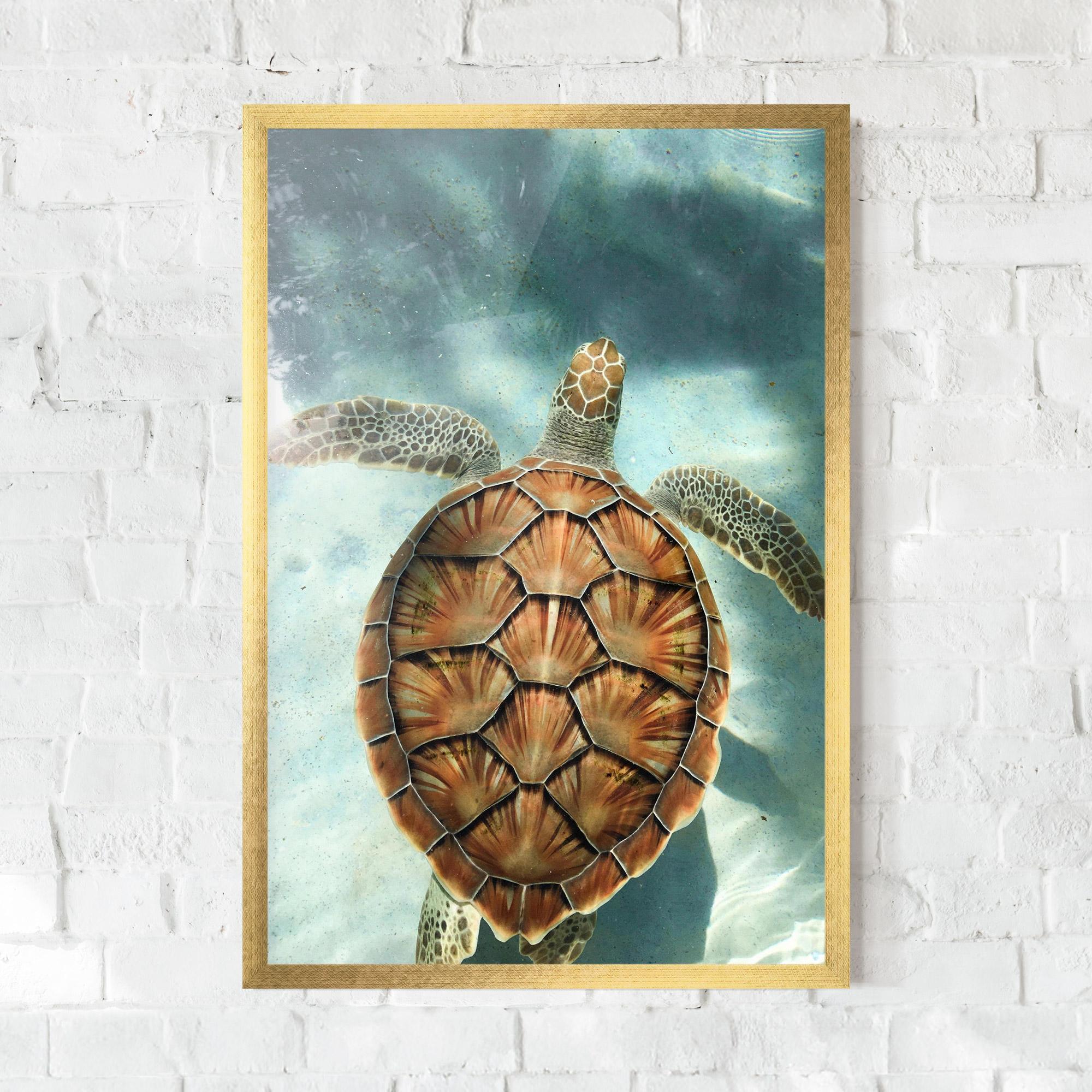 Plakat w Ramie Water Tortoise mockup 0
