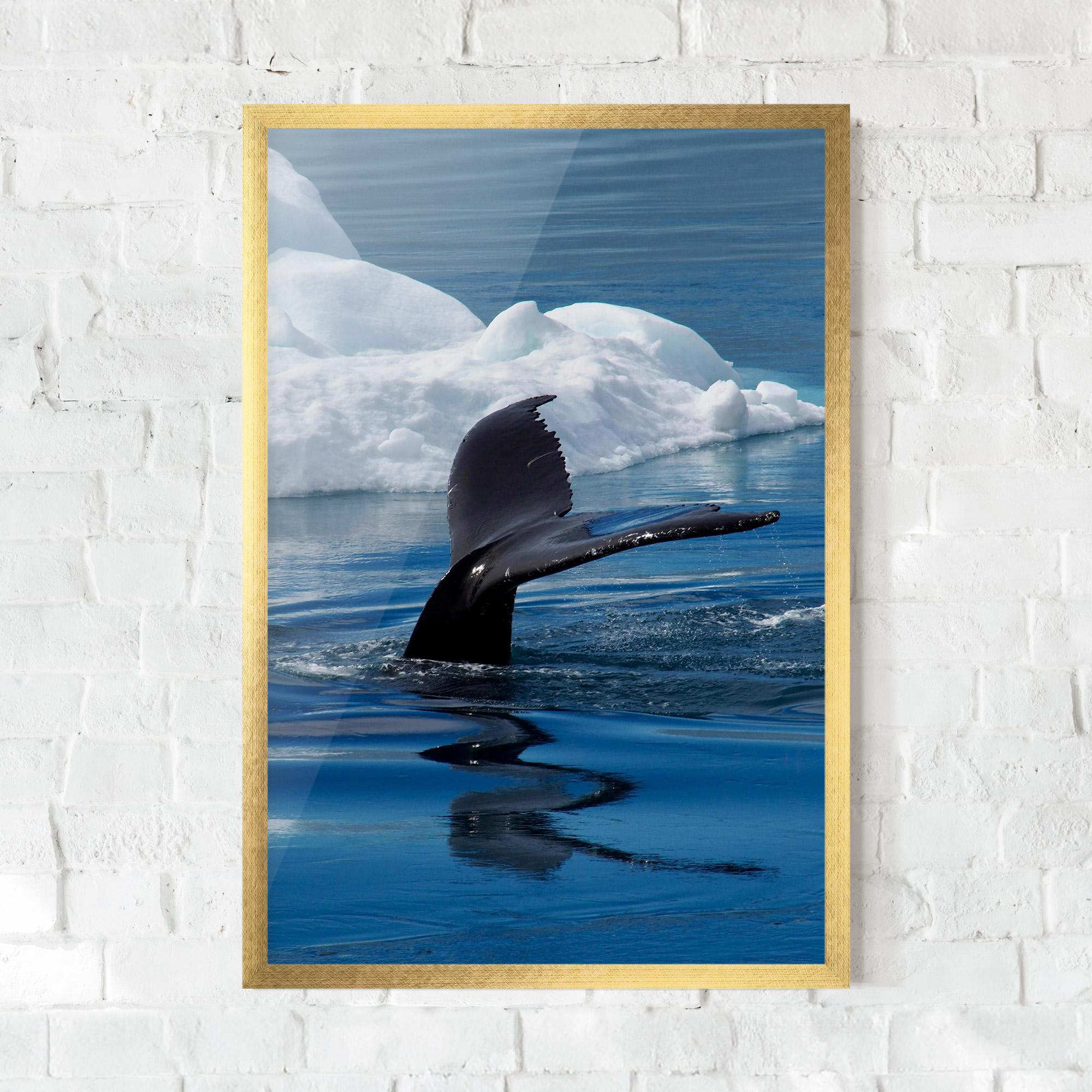 Plakat w Ramie Whale Tail mockup 0