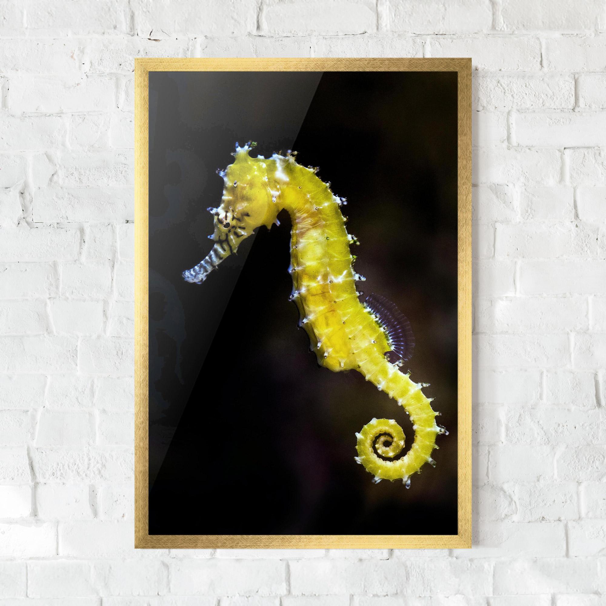Plakat w Ramie Yellow Seahorse mockup 0