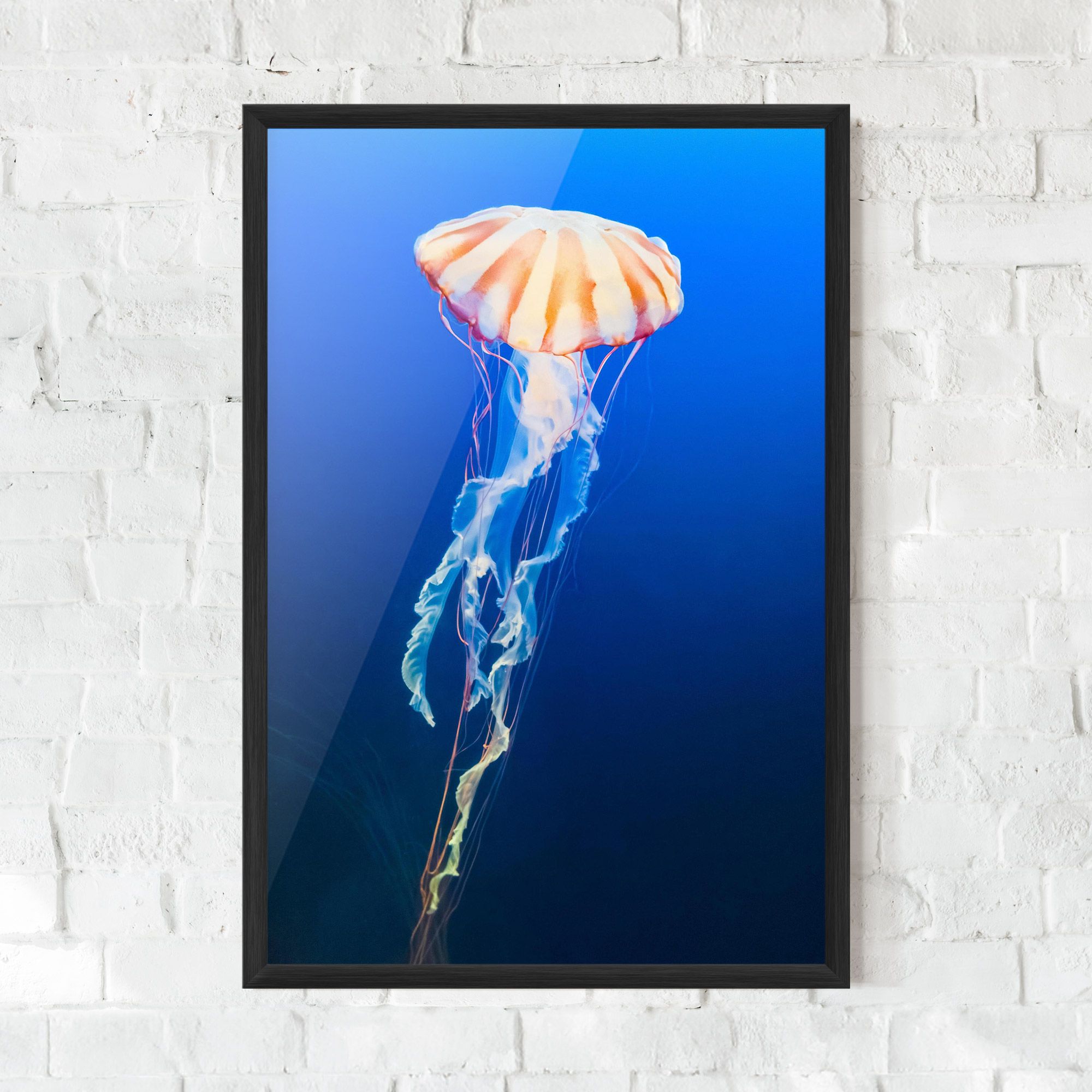 Cream Jellyfish mockup 0