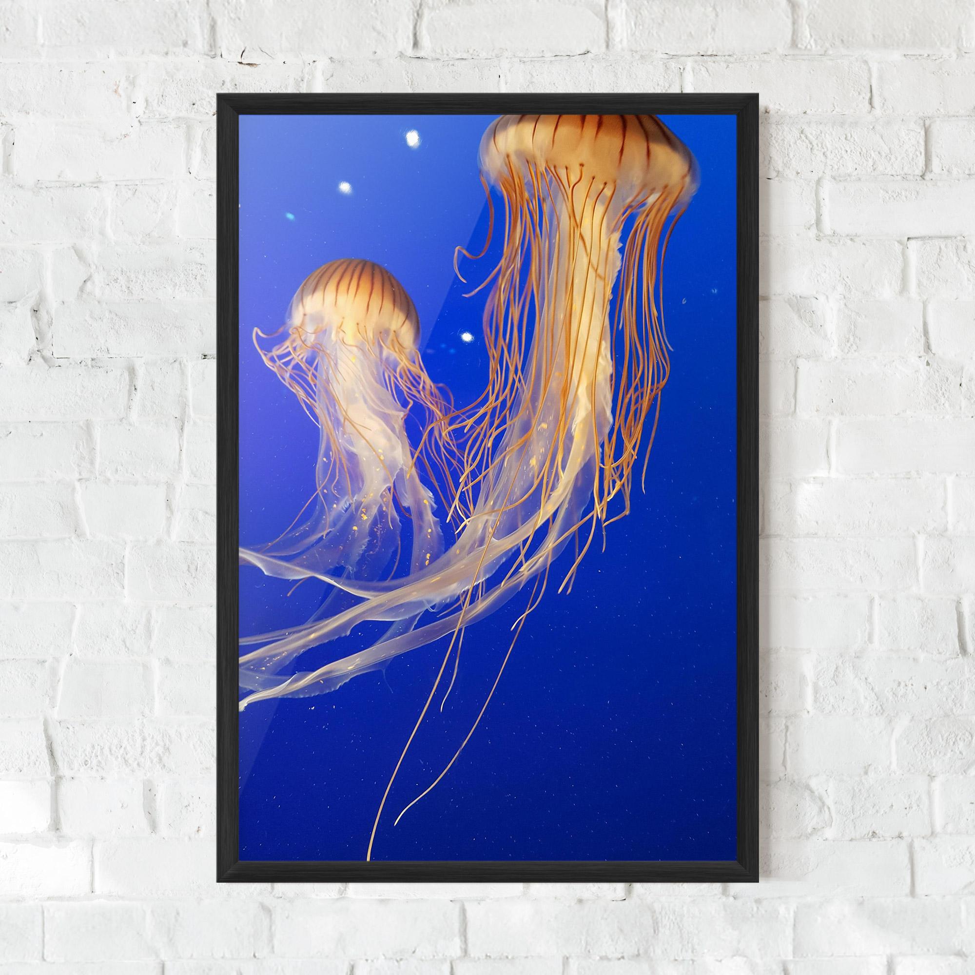 Plakat w Ramie Light Orange Jellyfish mockup 0
