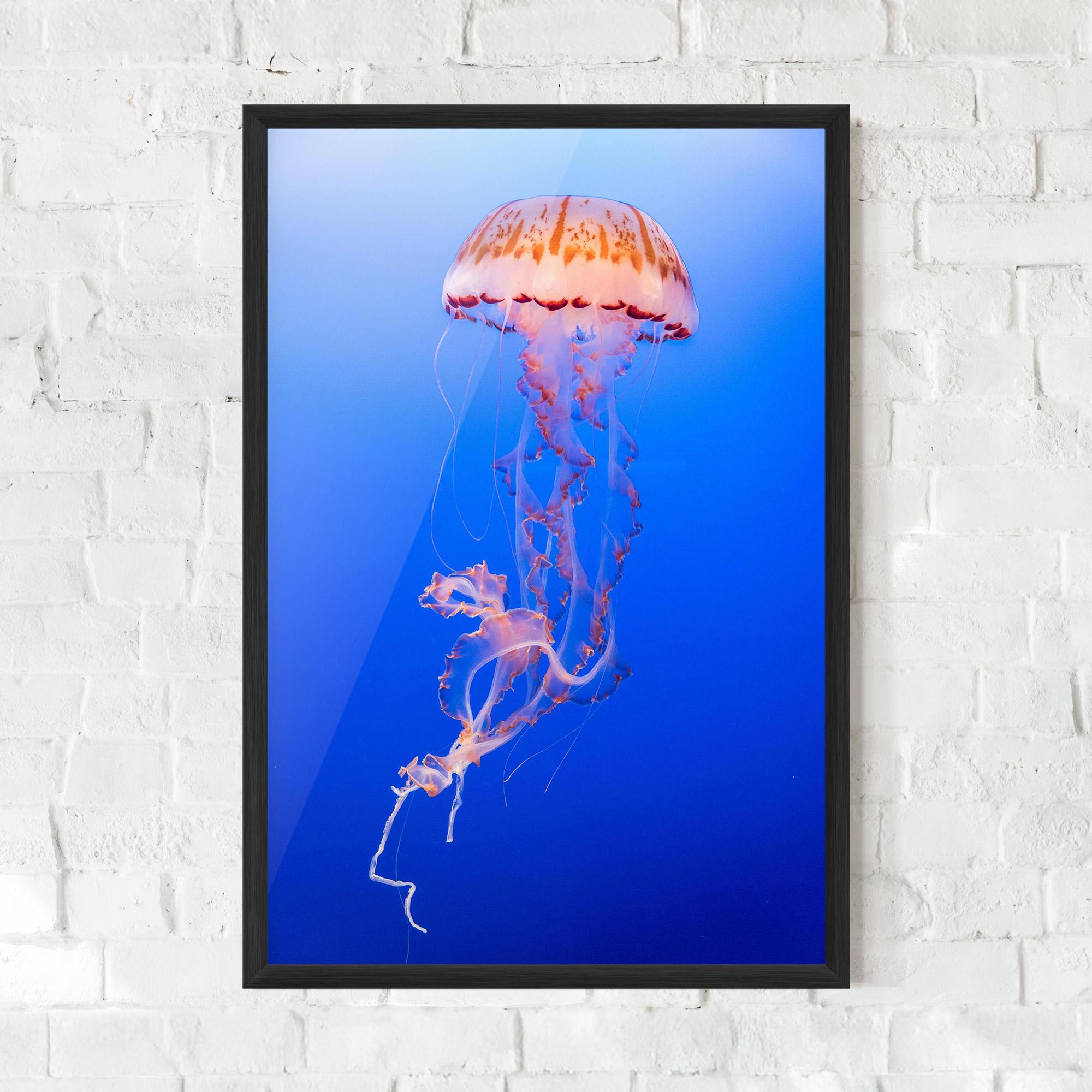 Plakat w Ramie Pretty White Jellyfish mockup 0