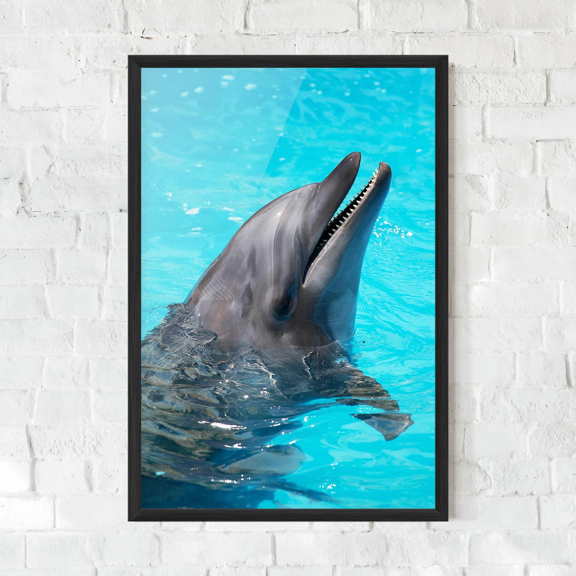 Plakat w Ramie Trained Dolphin mockup 0
