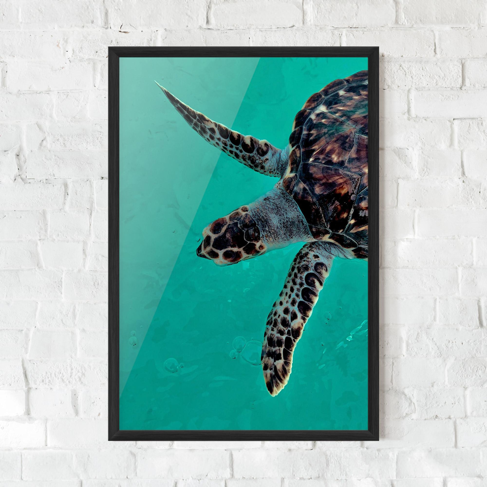 Plakat w Ramie Turtle Sweeming mockup 0