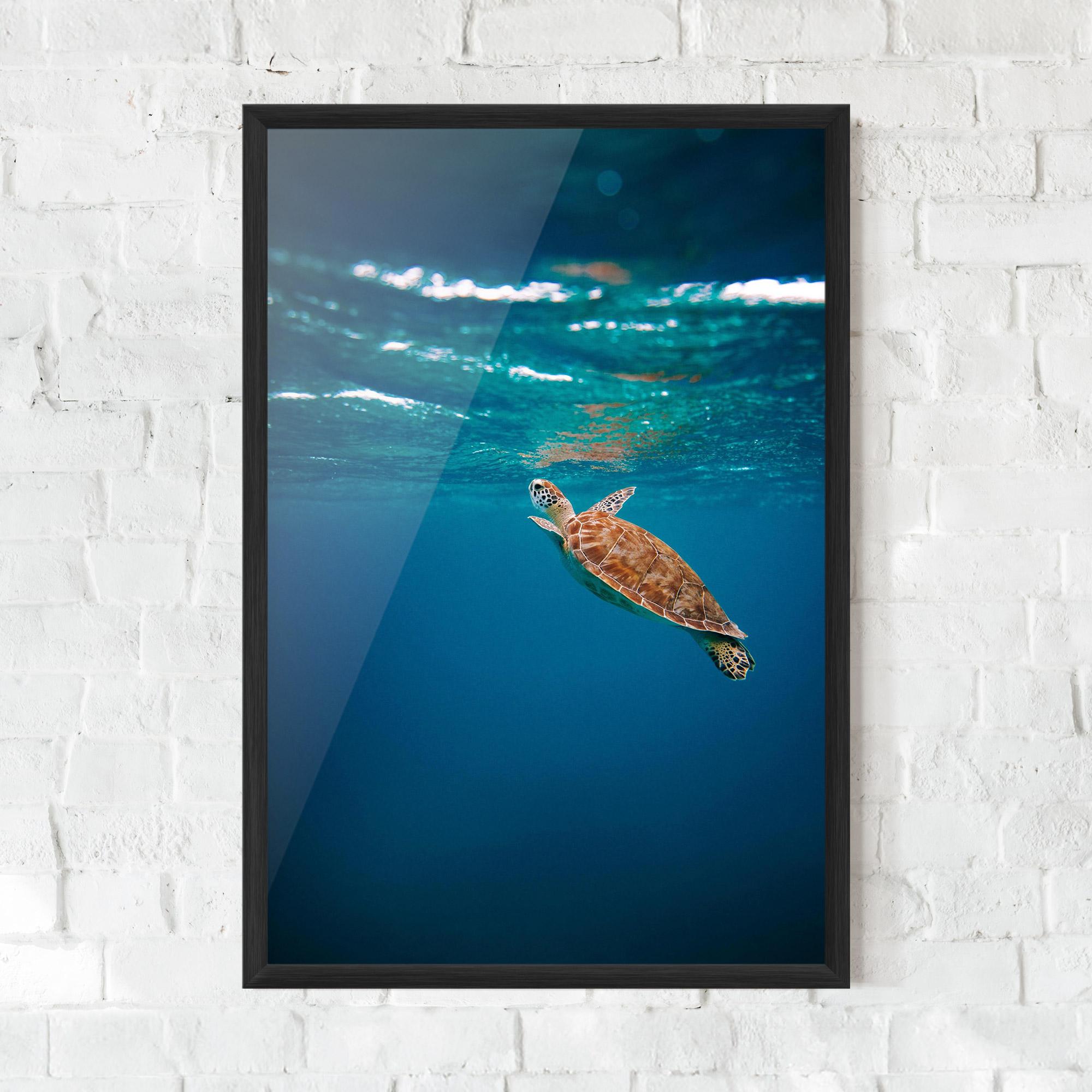 Plakat w Ramie Water Turtle mockup 0