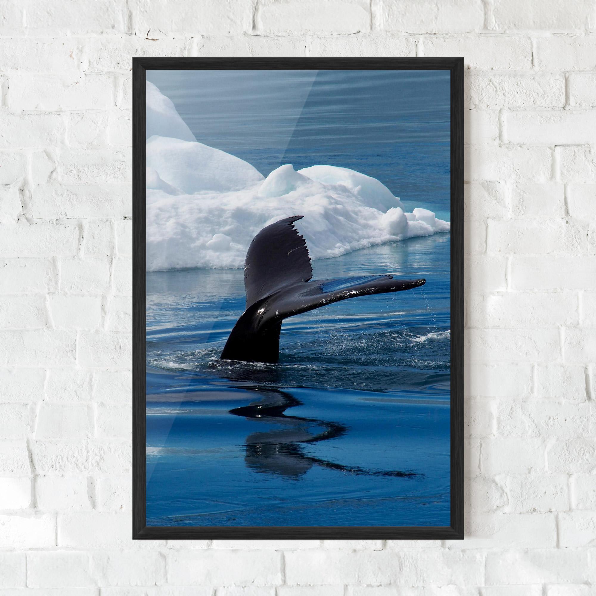 Plakat w Ramie Whale Tail mockup 0