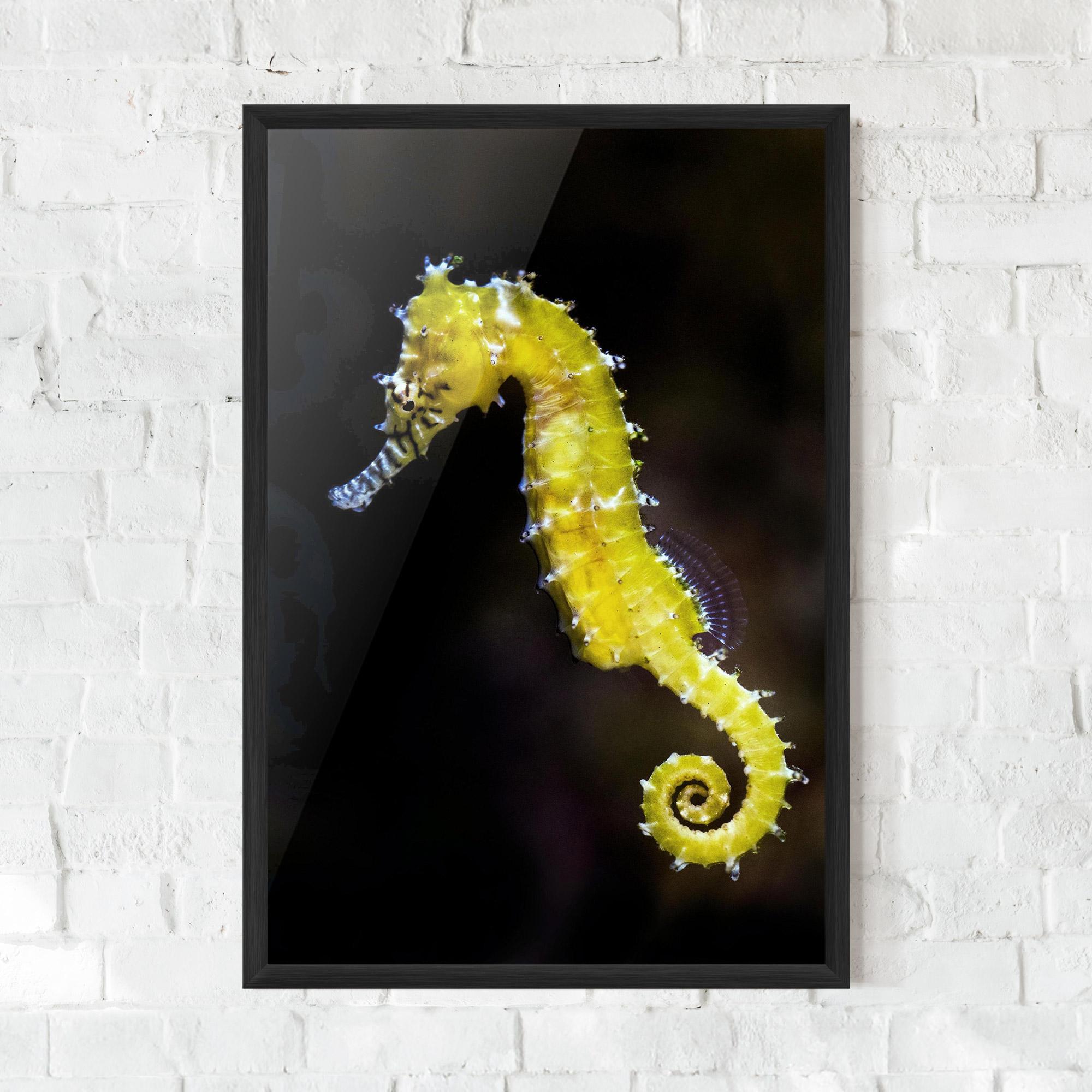 Plakat w Ramie Yellow Seahorse mockup 0