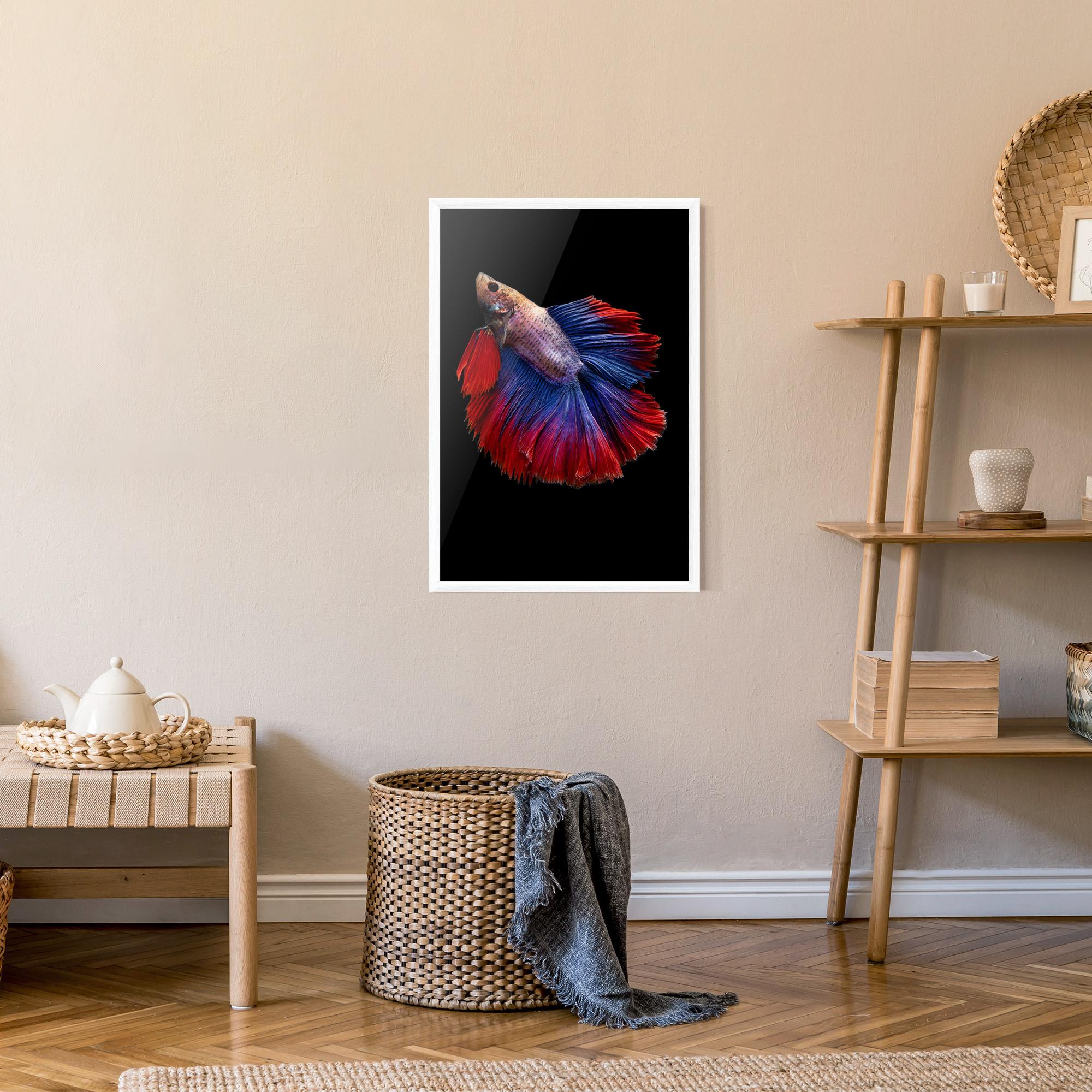 Plakat w Ramie Red Blue Betta mockup 9