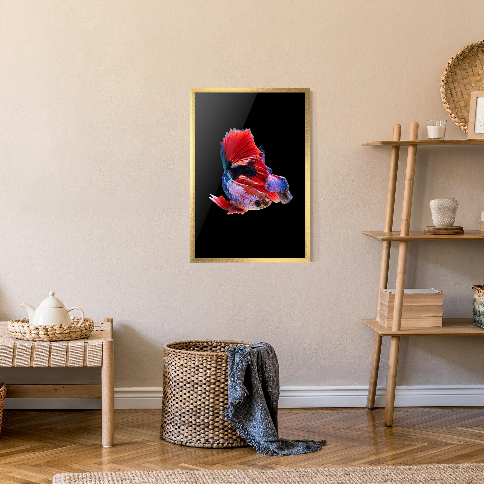 Plakat w Ramie Red Black Betta mockup 9