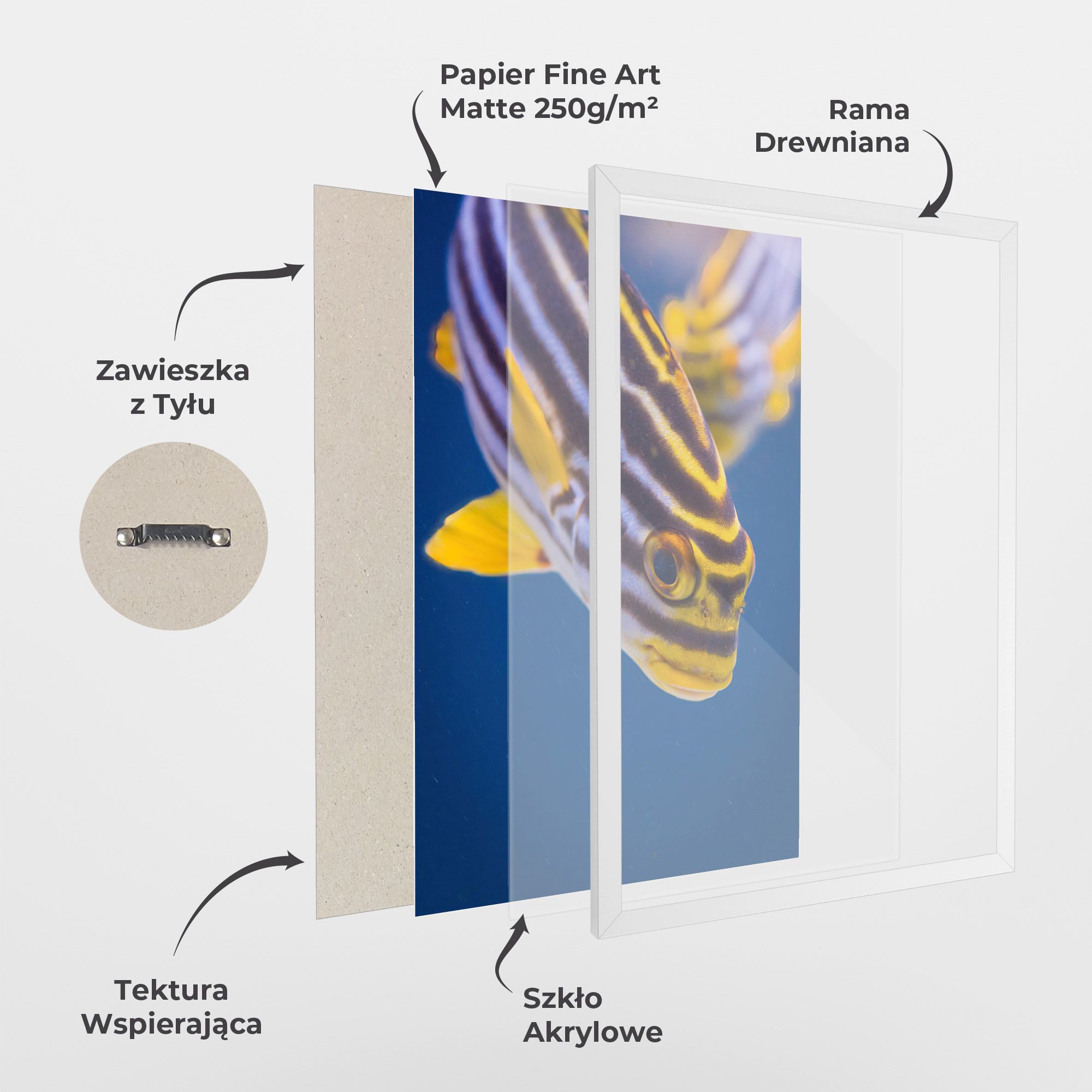 Purple Yellow Fish mockup 1