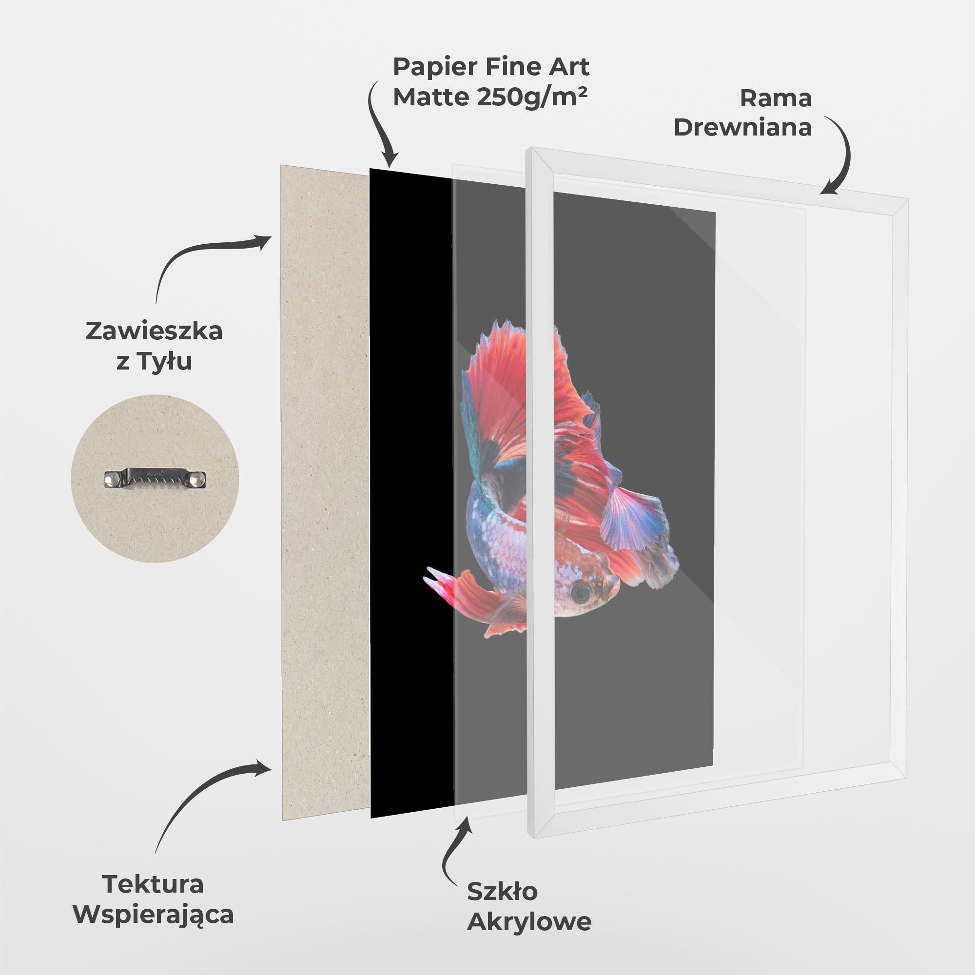 Plakat w Ramie Red Black Betta mockup 1
