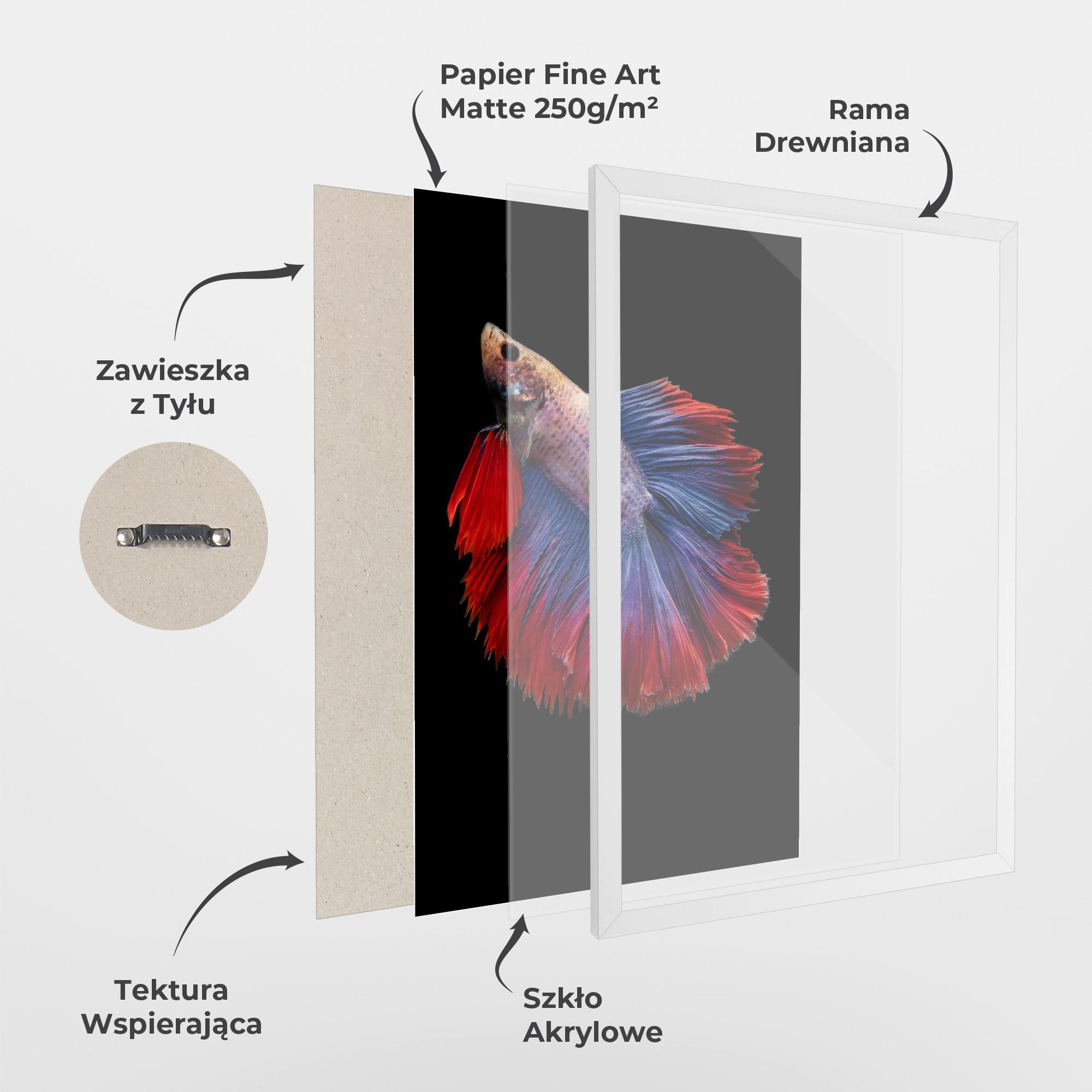 Plakat w Ramie Red Blue Betta mockup 1