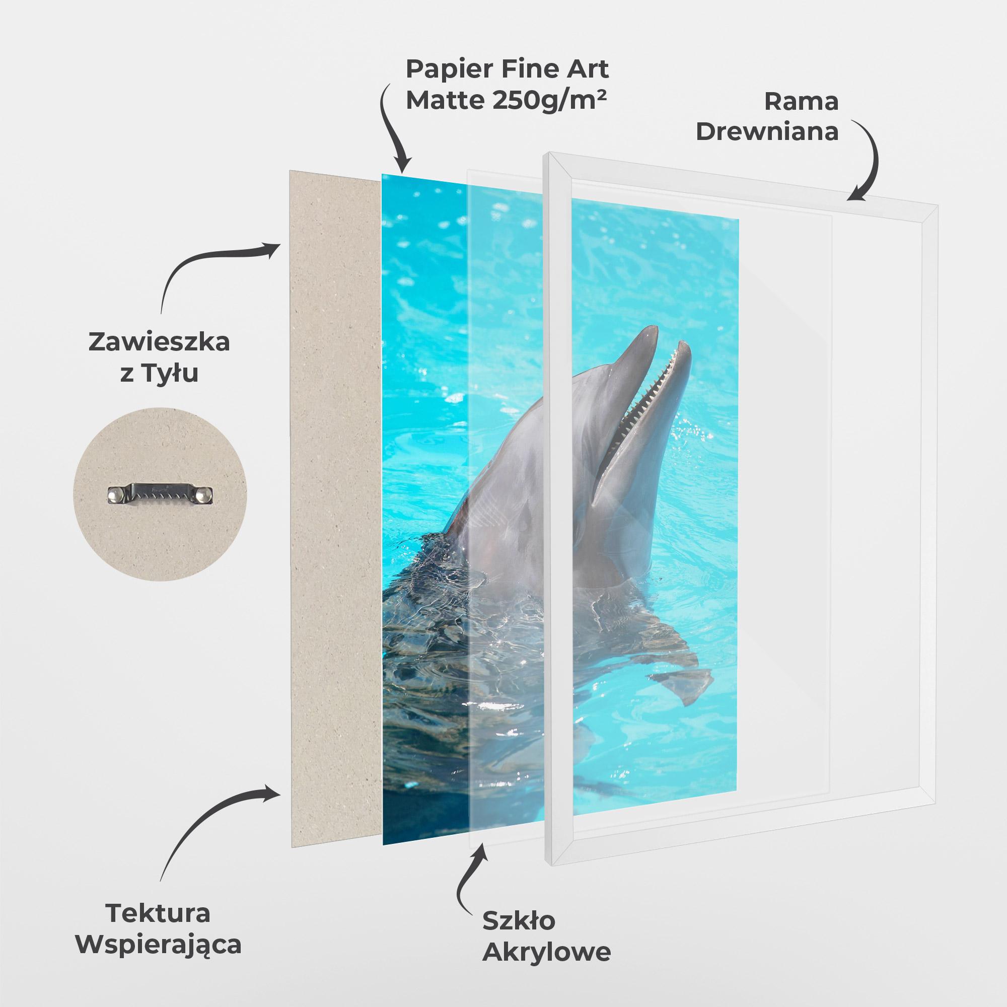 Plakat w Ramie Trained Dolphin mockup 1