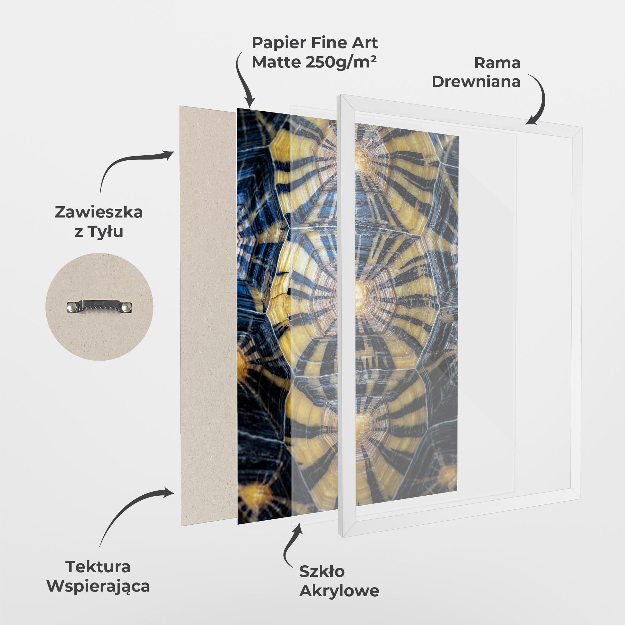 Plakat w Ramie Turtle Shell mockup 1