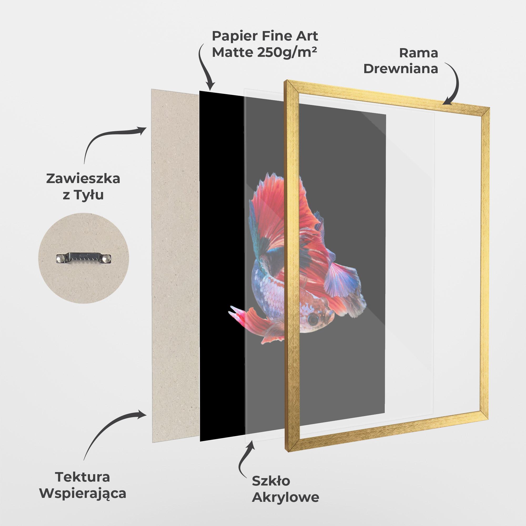 Plakat w Ramie Red Black Betta mockup 1