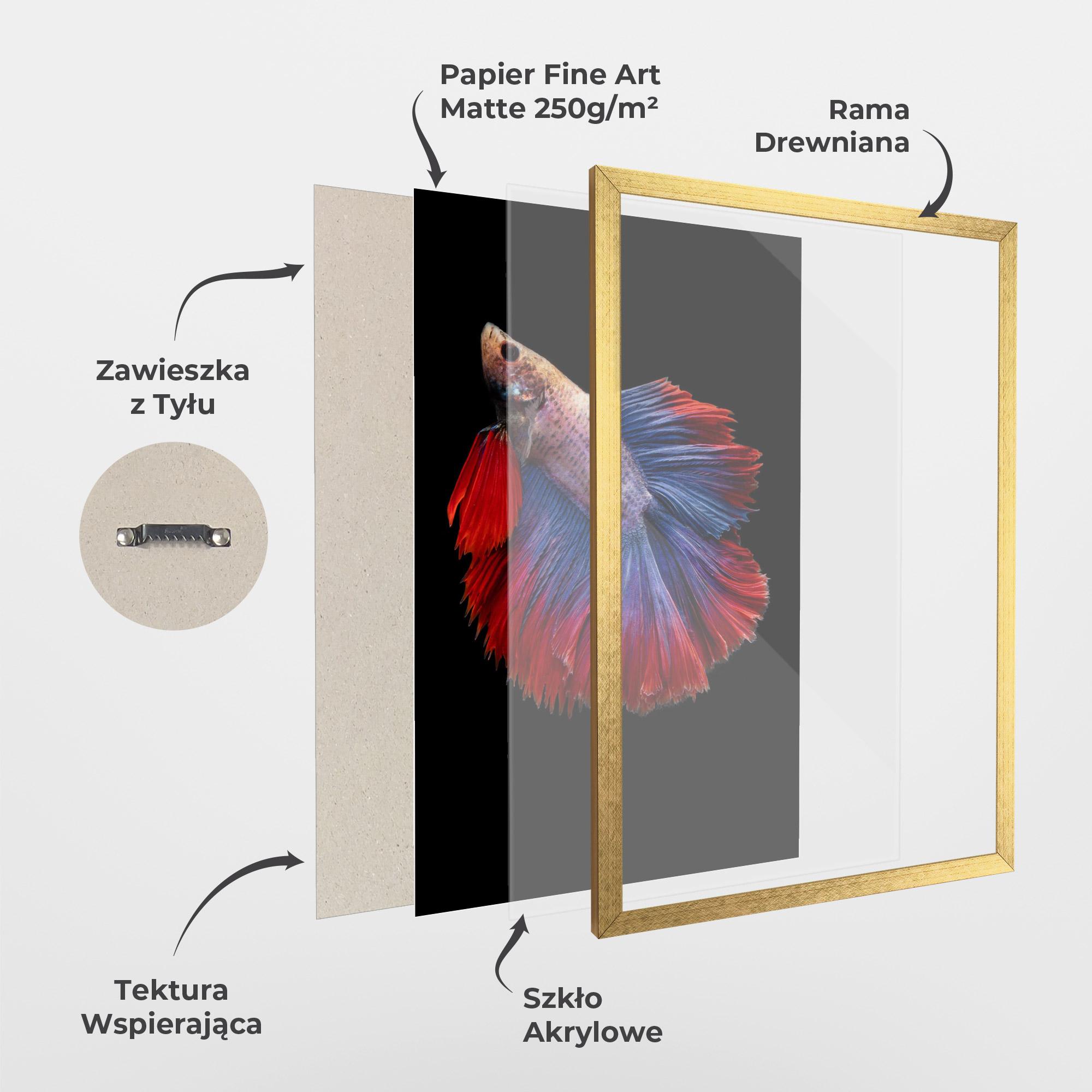 Plakat w Ramie Red Blue Betta mockup 1