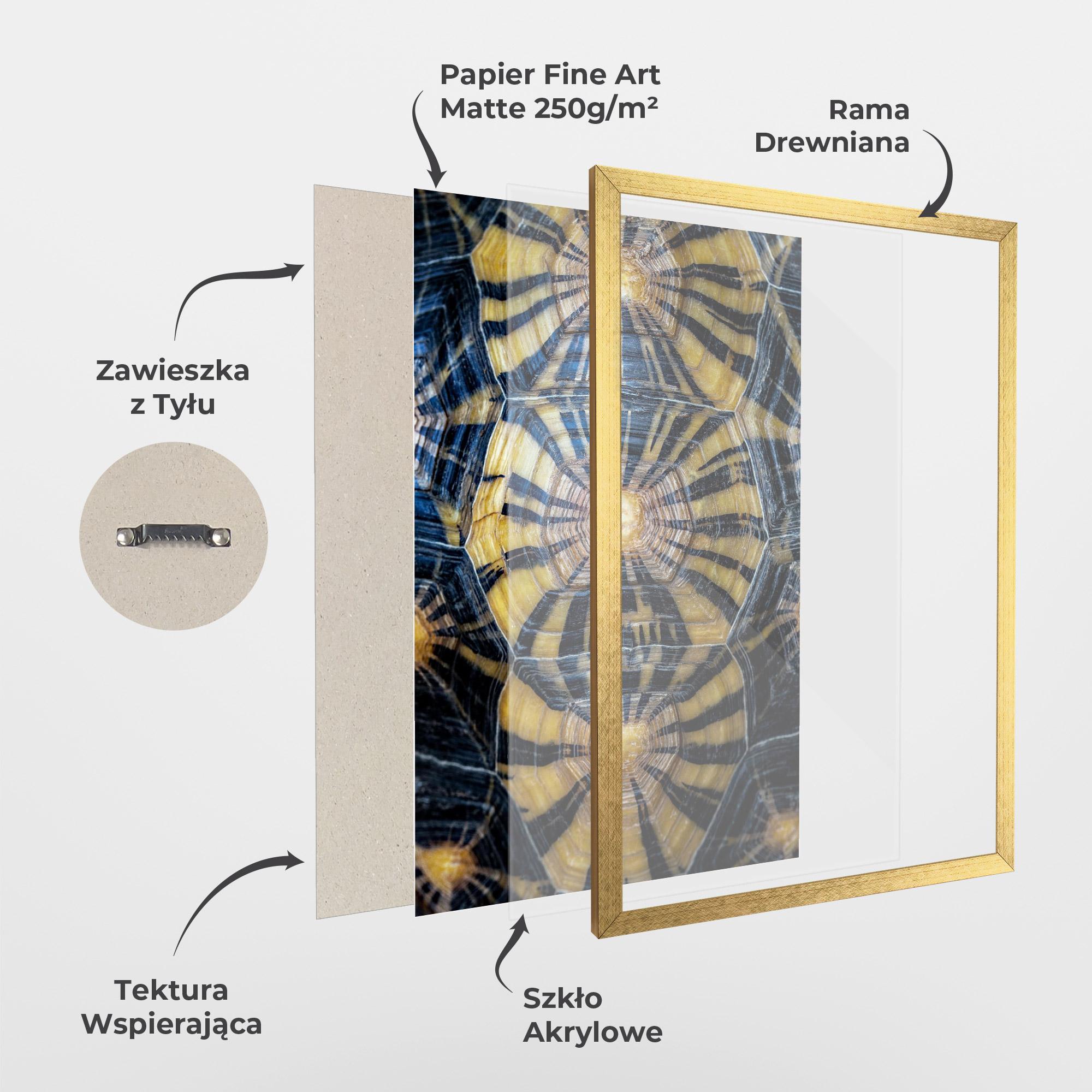 Plakat w Ramie Turtle Shell mockup 1