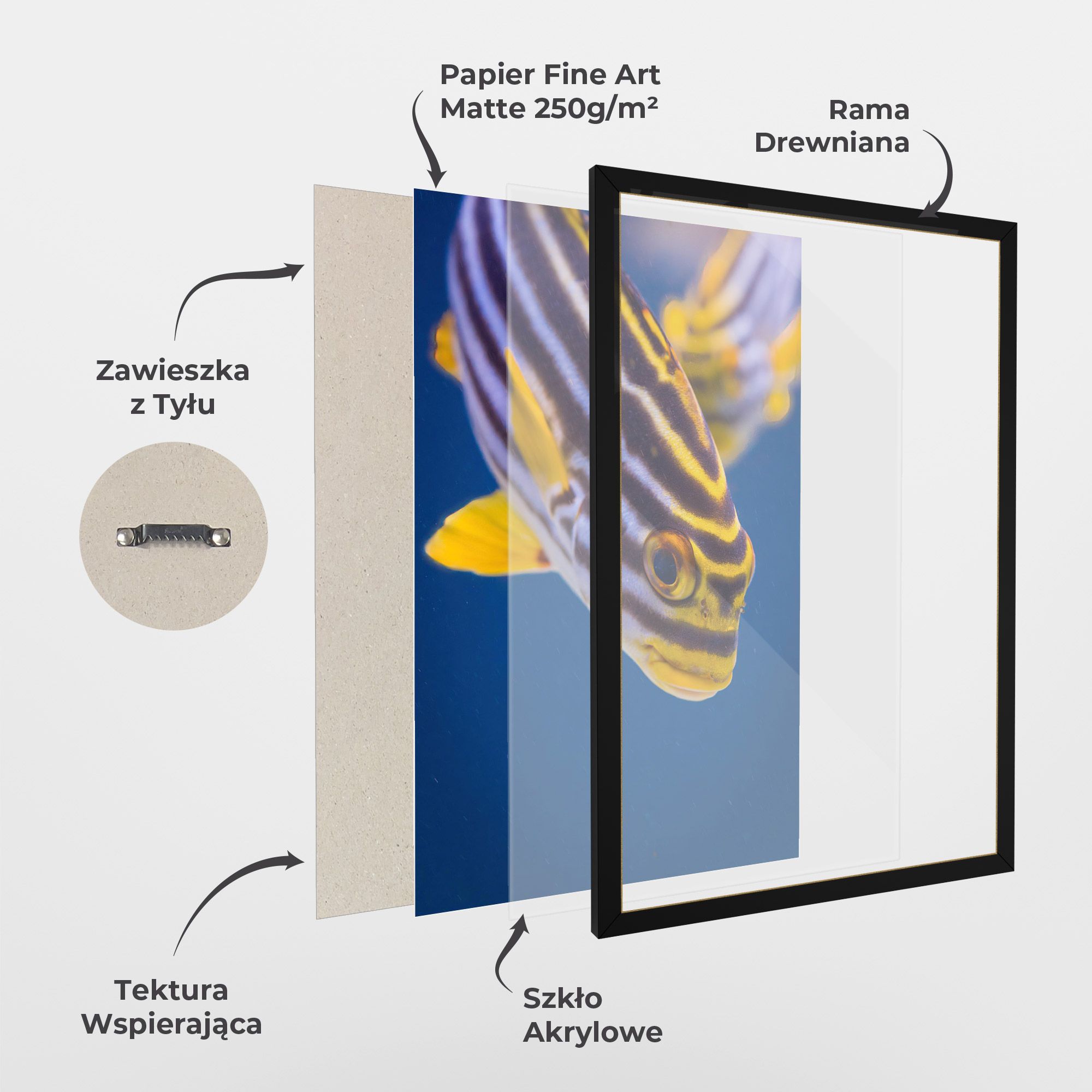 Purple Yellow Fish mockup 1