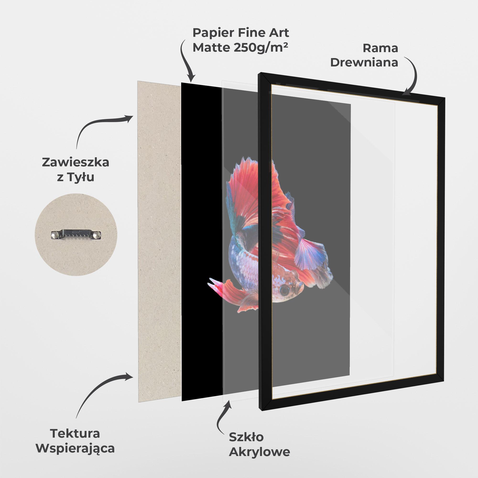 Plakat w Ramie Red Black Betta mockup 1