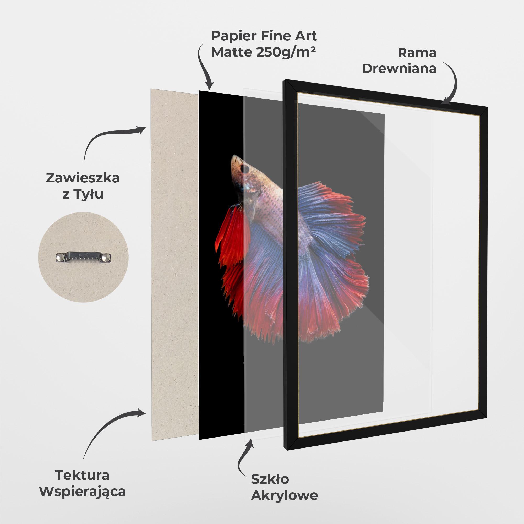 Plakat w Ramie Red Blue Betta mockup 1