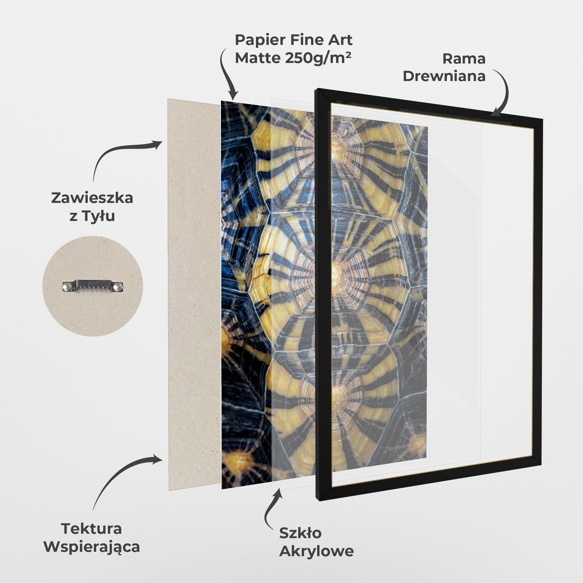 Plakat w Ramie Turtle Shell mockup 1