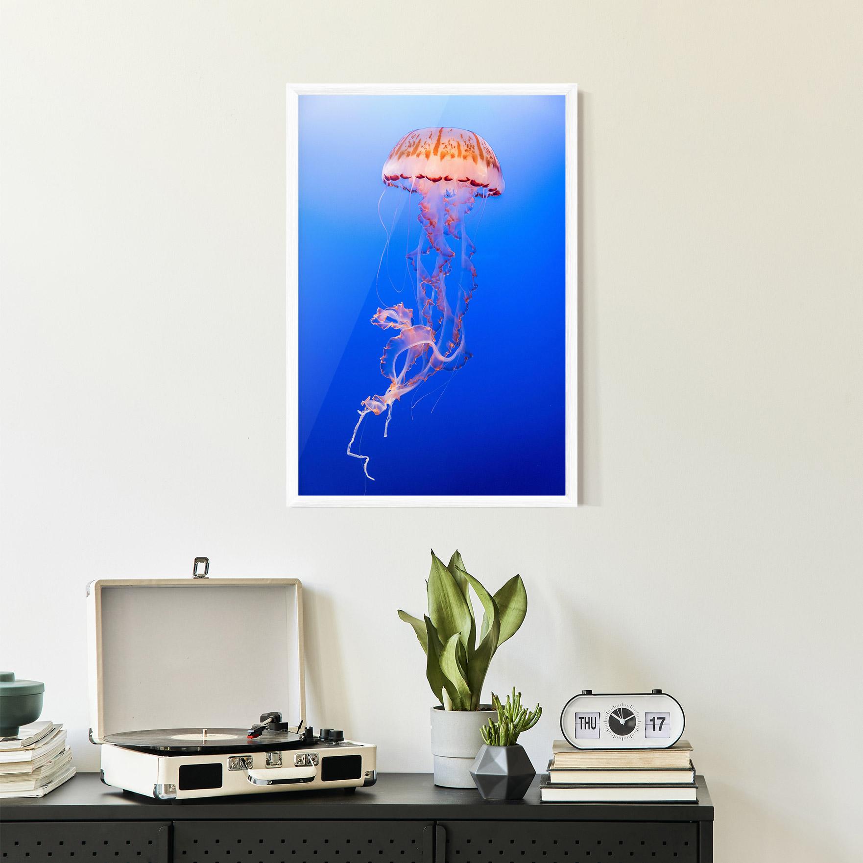 Plakat w Ramie Pretty White Jellyfish mockup 2