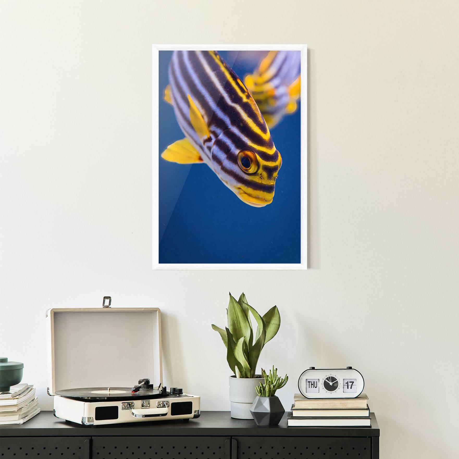 Plakat w Ramie Purple Yellow Fish mockup 2