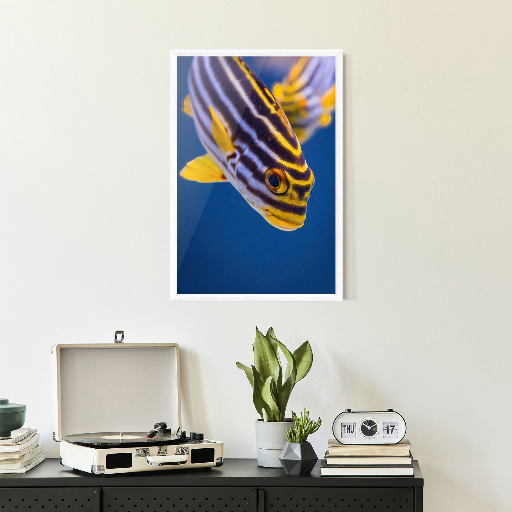 Purple Yellow Fish mockup 2