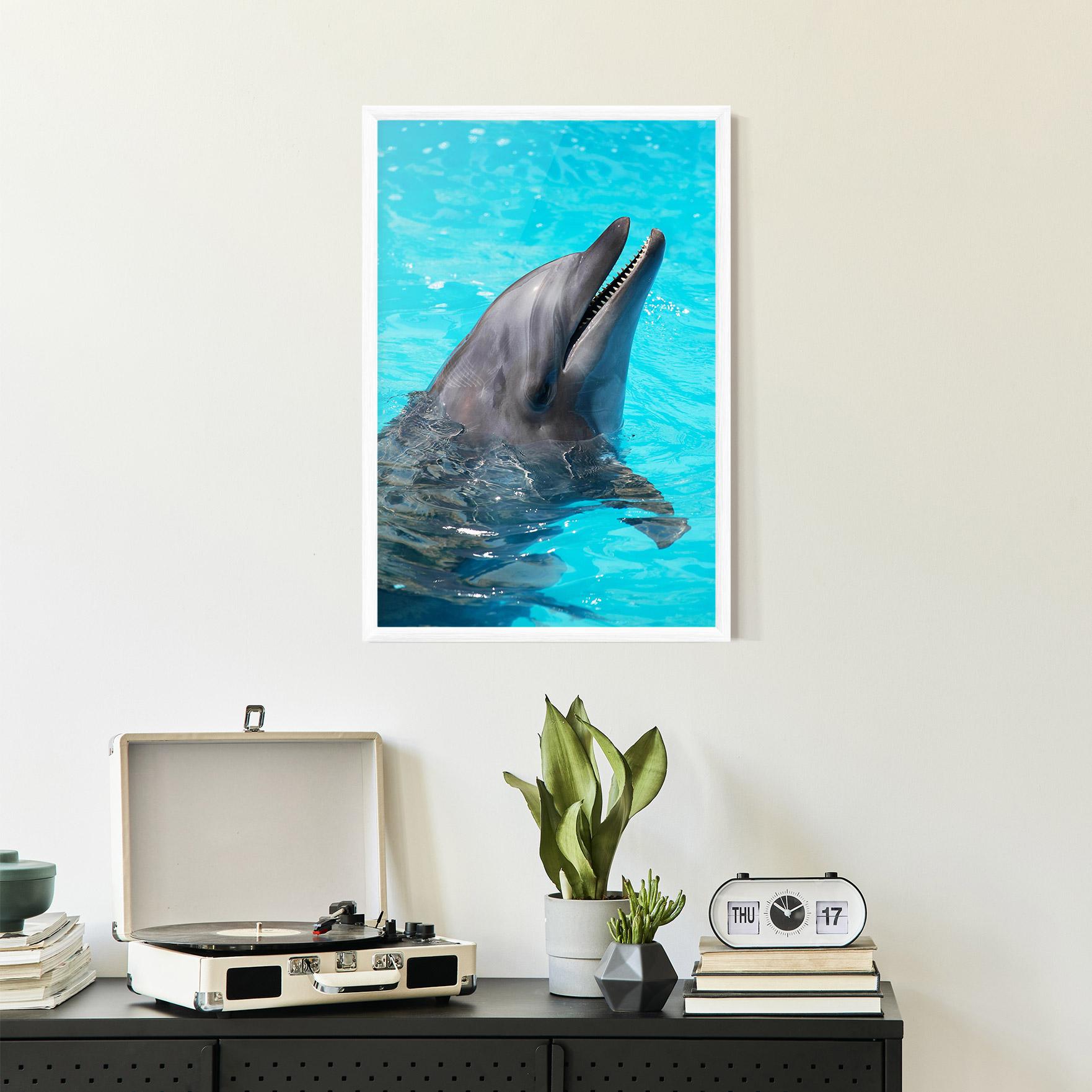 Plakat w Ramie Trained Dolphin mockup 2