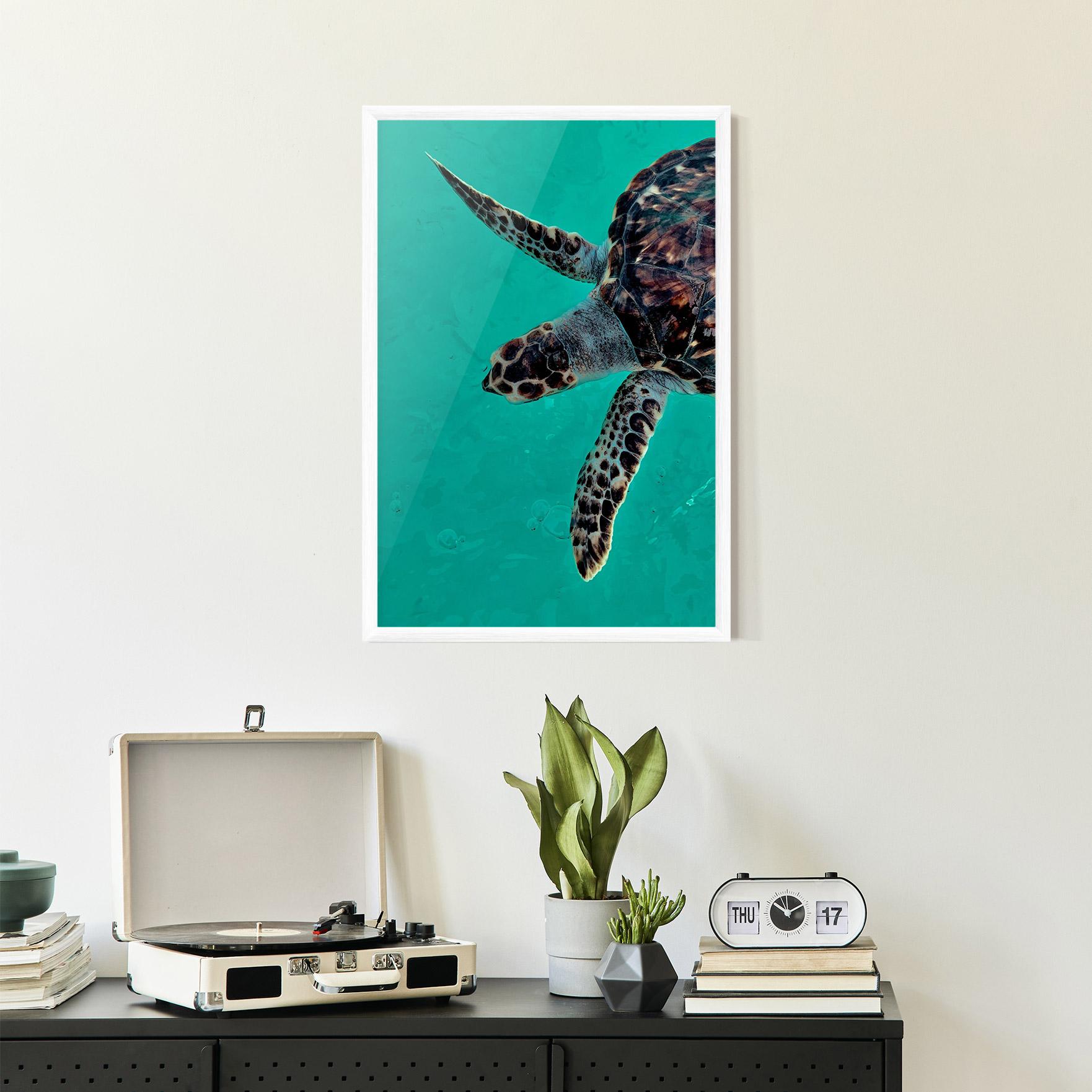 Plakat w Ramie Turtle Sweeming mockup 2