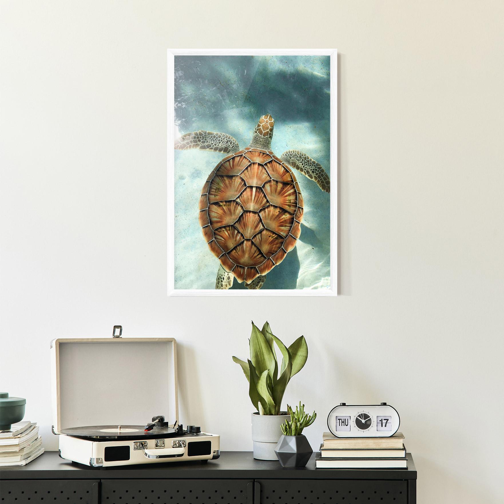Plakat w Ramie Water Tortoise mockup 2
