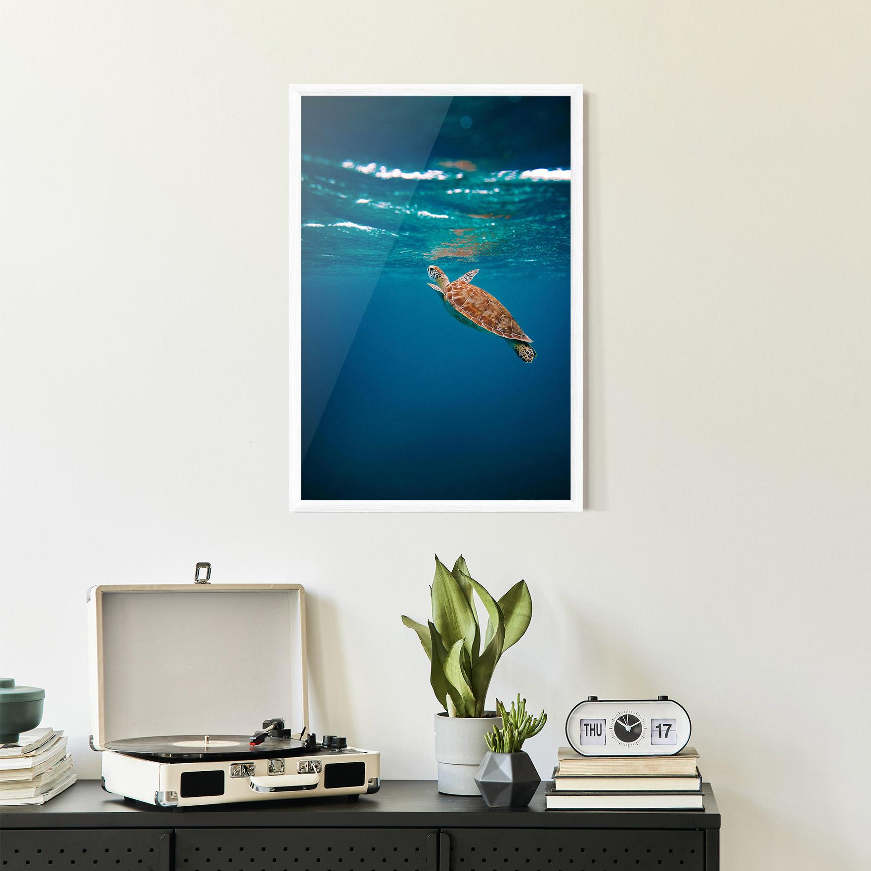 Plakat w Ramie Water Turtle mockup 2