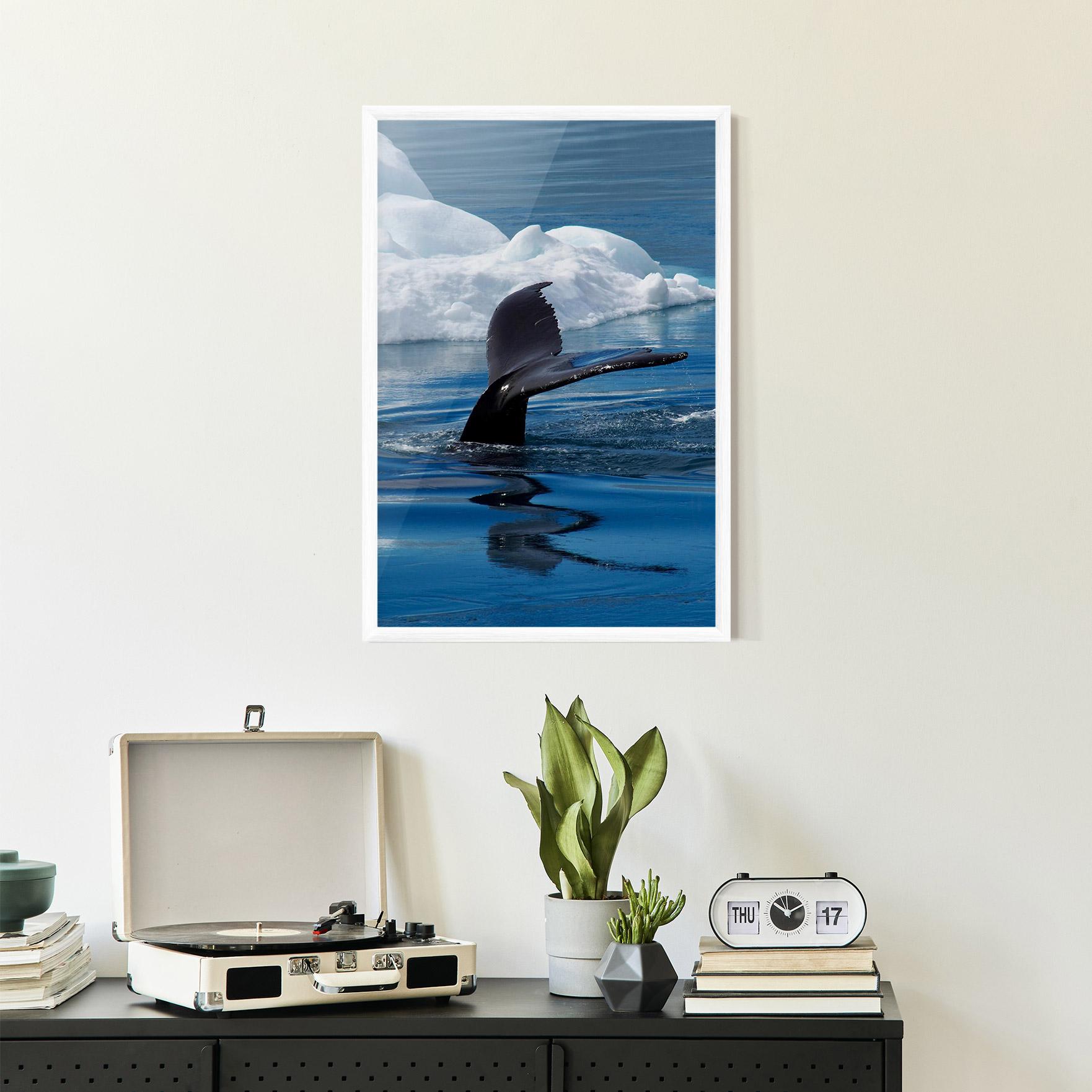 Plakat w Ramie Whale Tail mockup 2