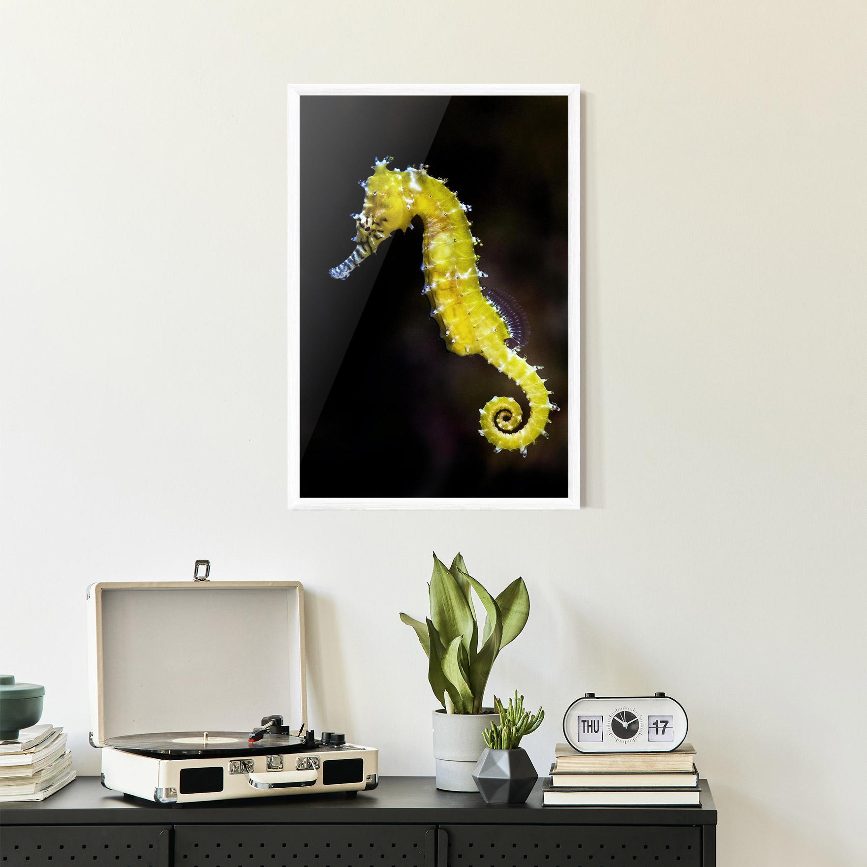 Plakat w Ramie Yellow Seahorse mockup 2