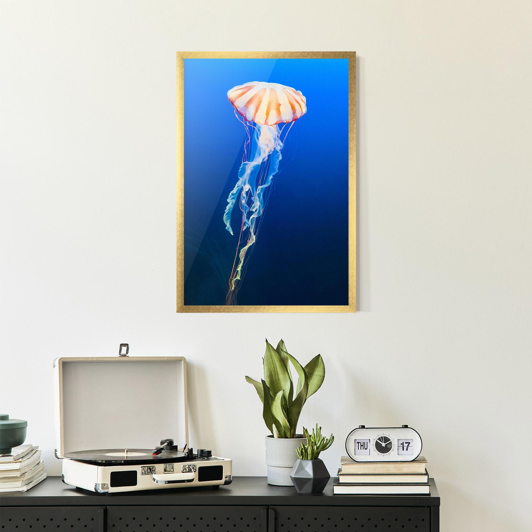 Plakat w Ramie Cream Jellyfish mockup 2