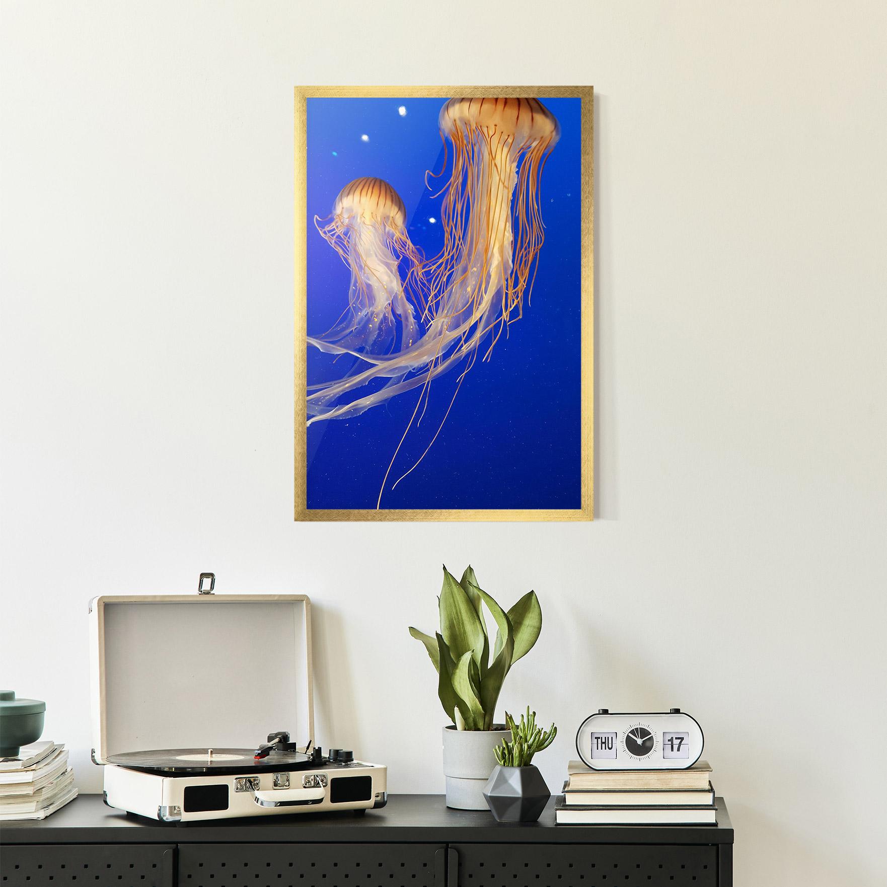 Plakat w Ramie Light Orange Jellyfish mockup 2