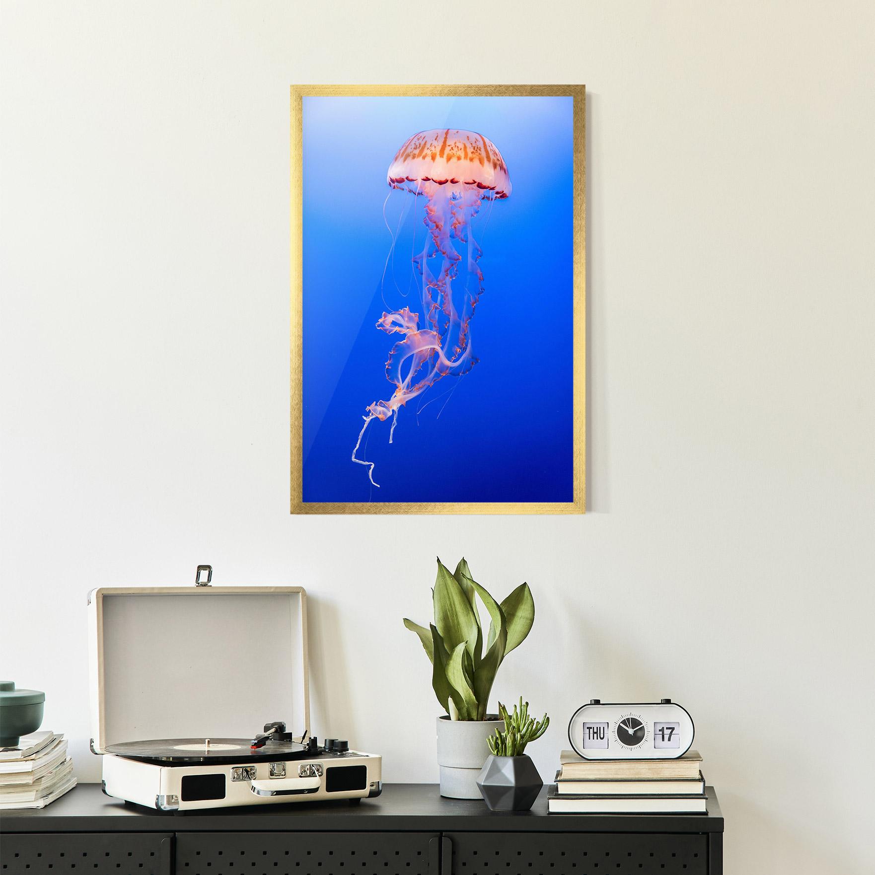 Plakat w Ramie Pretty White Jellyfish mockup 2