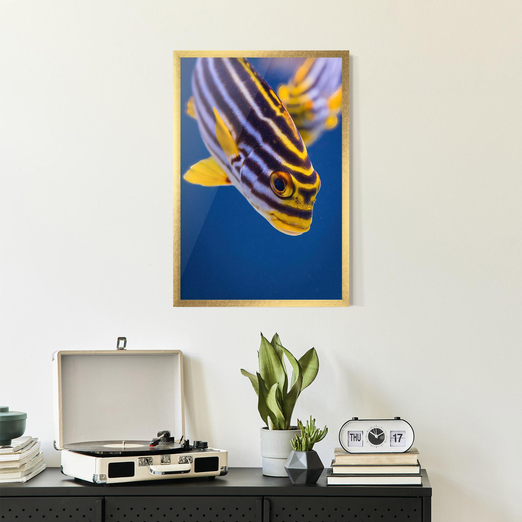 Plakat w Ramie Purple Yellow Fish mockup 2