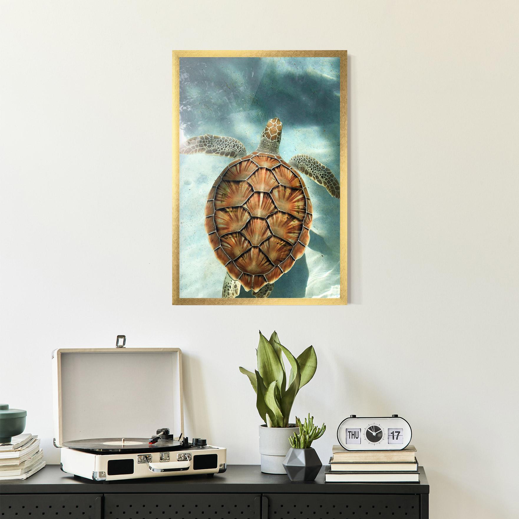 Plakat w Ramie Water Tortoise mockup 2