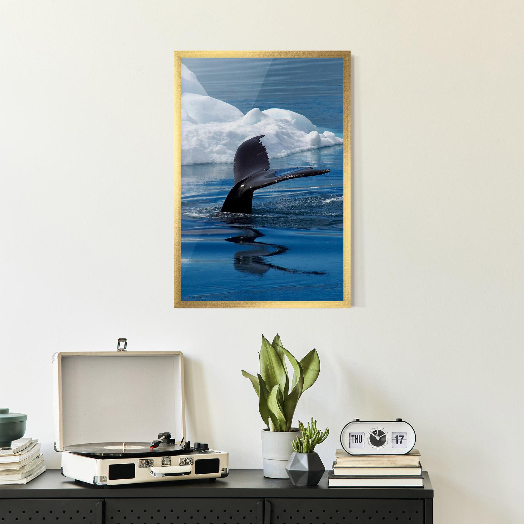 Plakat w Ramie Whale Tail mockup 2