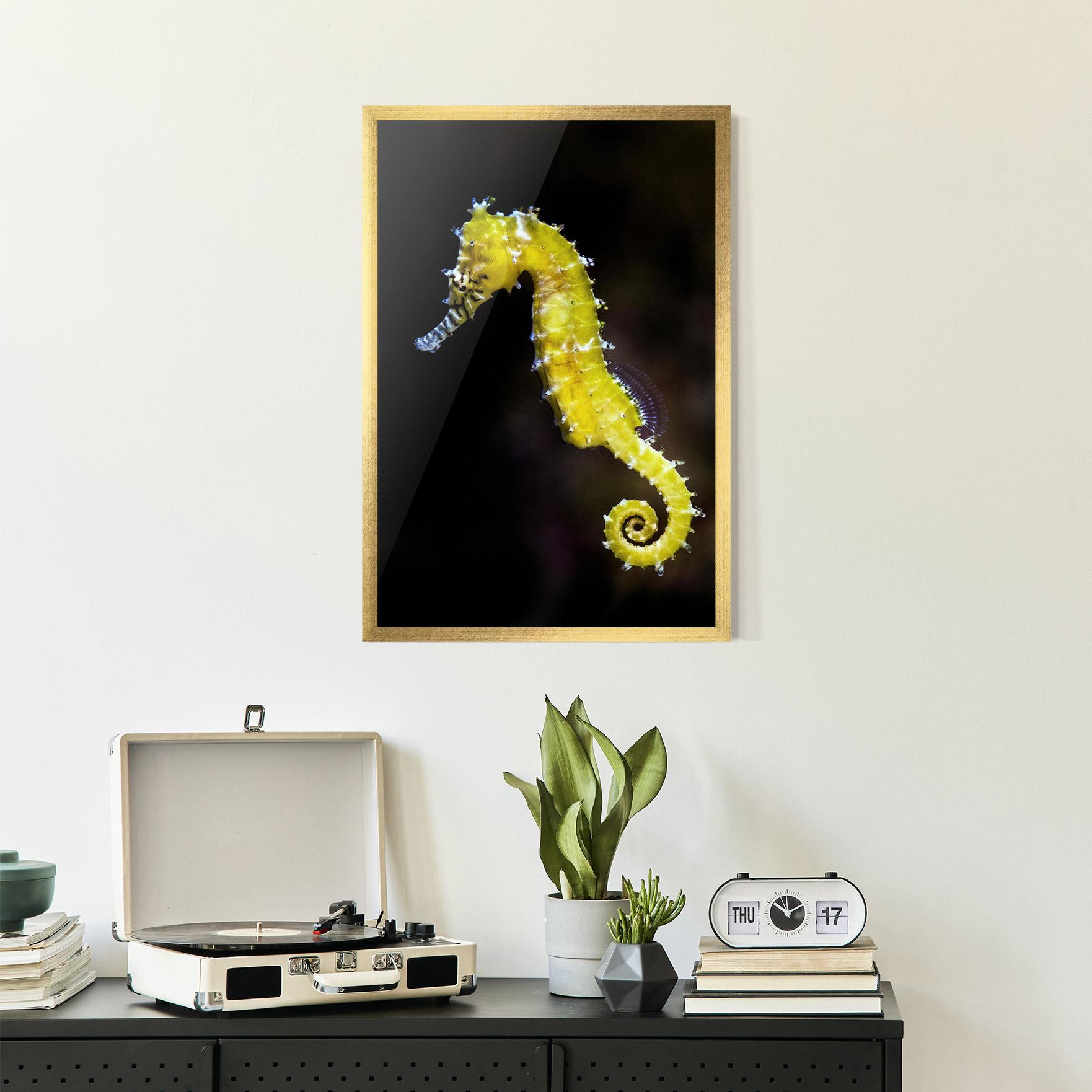 Plakat w Ramie Yellow Seahorse mockup 2