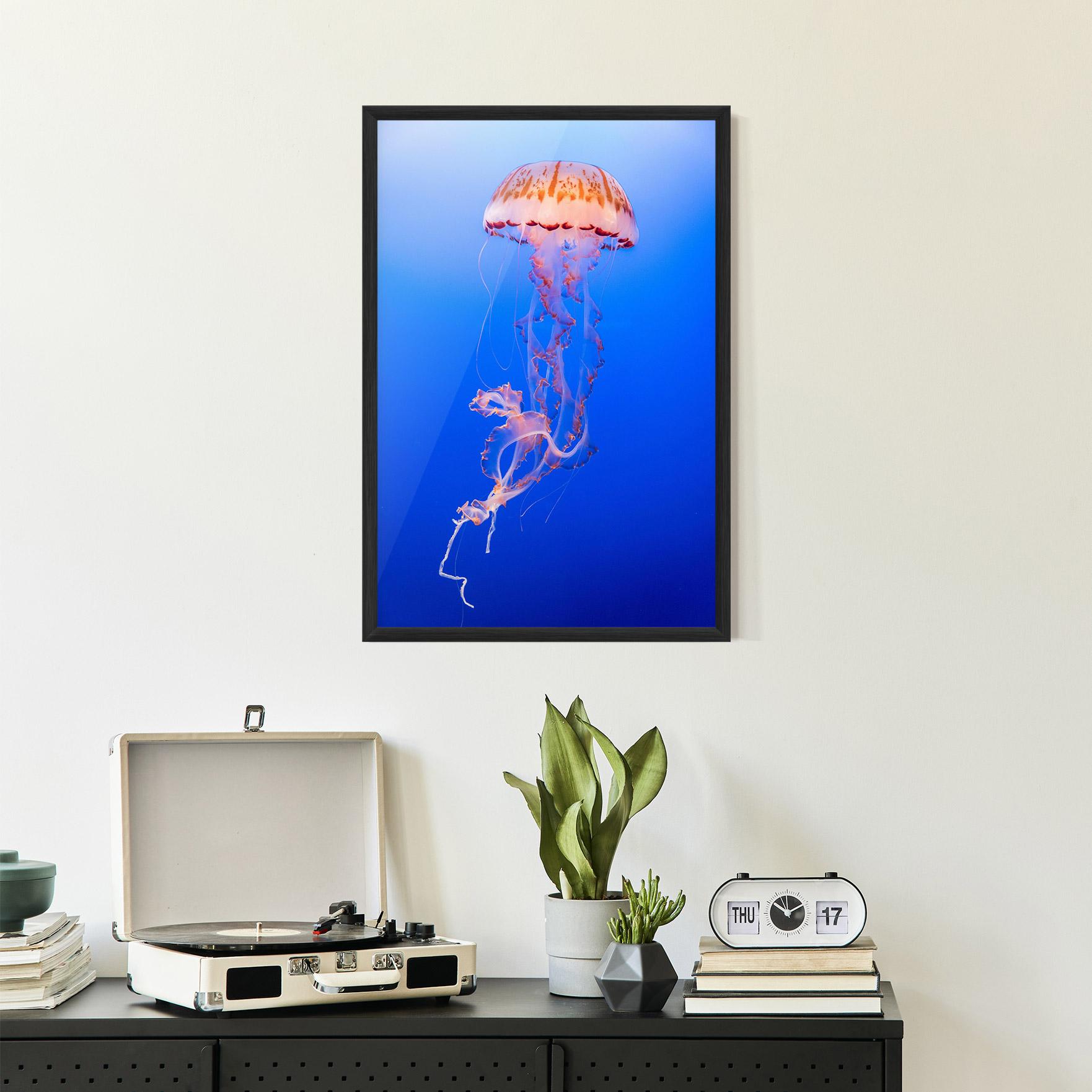 Plakat w Ramie Pretty White Jellyfish mockup 2