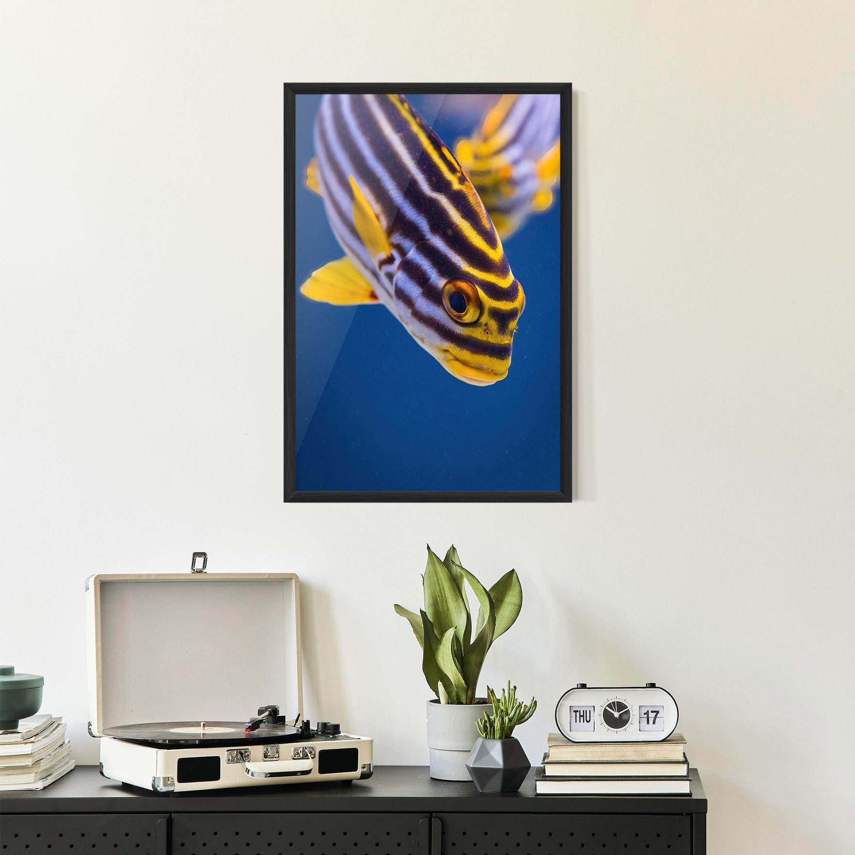 Plakat w Ramie Purple Yellow Fish mockup 2