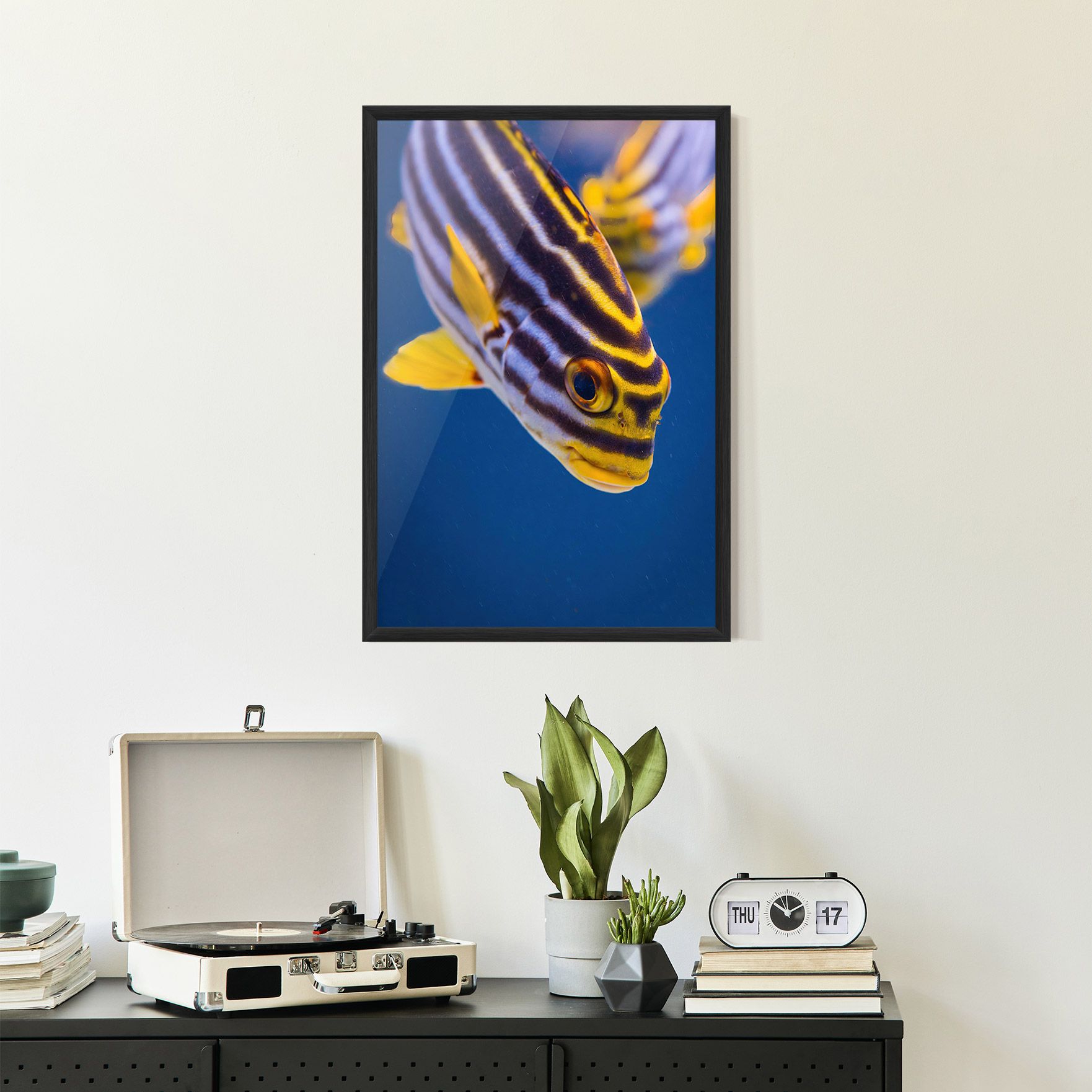 Purple Yellow Fish mockup 2