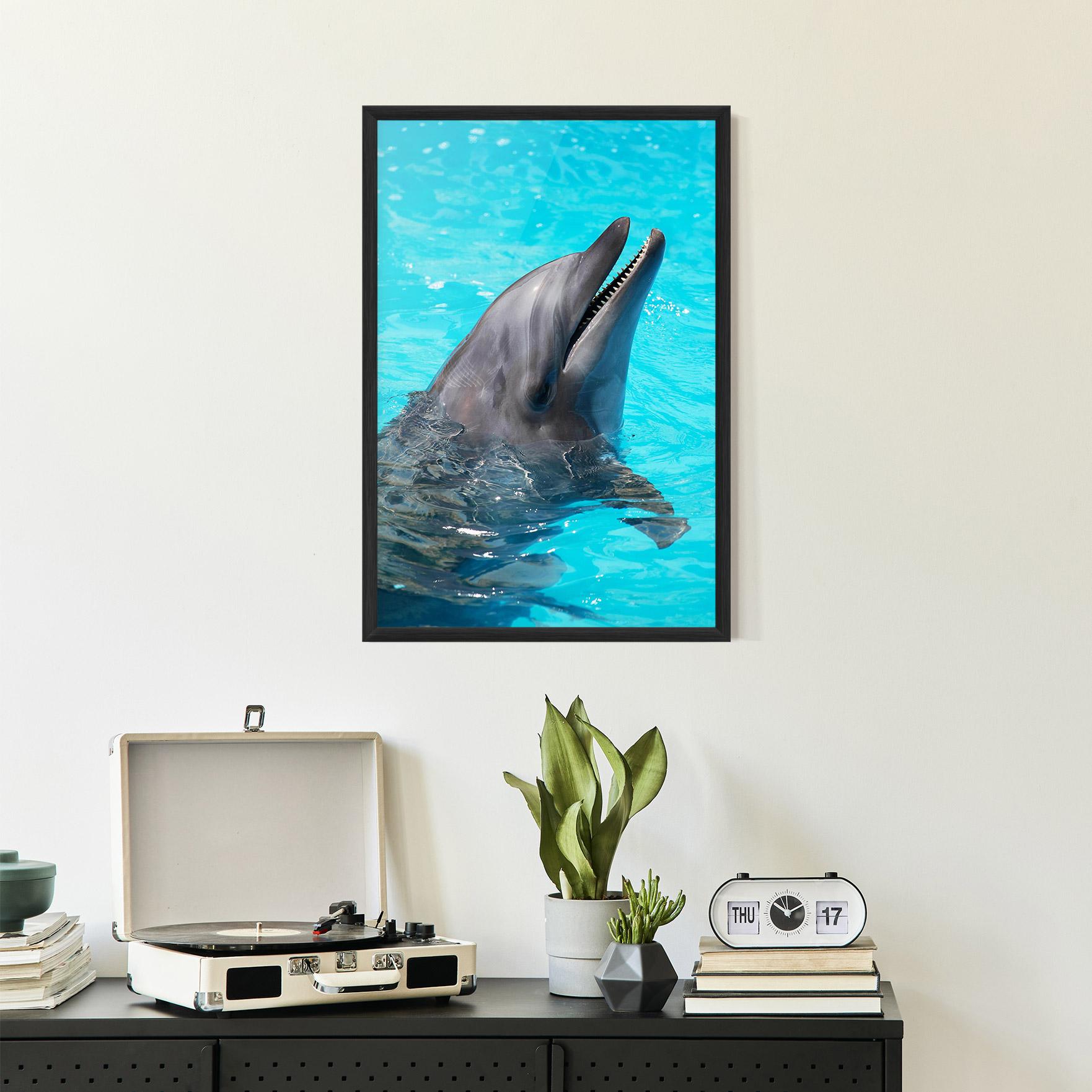 Plakat w Ramie Trained Dolphin mockup 2