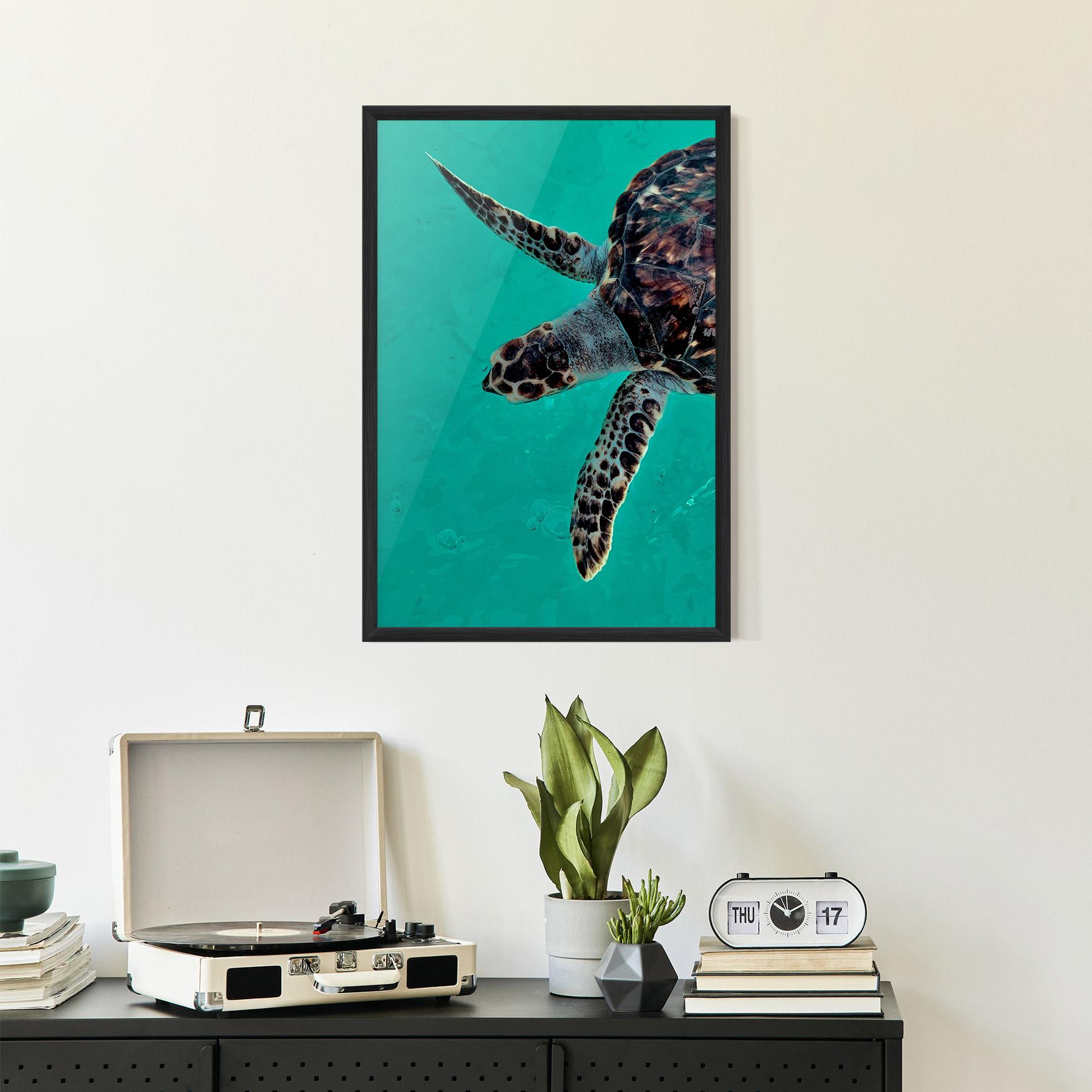 Plakat w Ramie Turtle Sweeming mockup 2