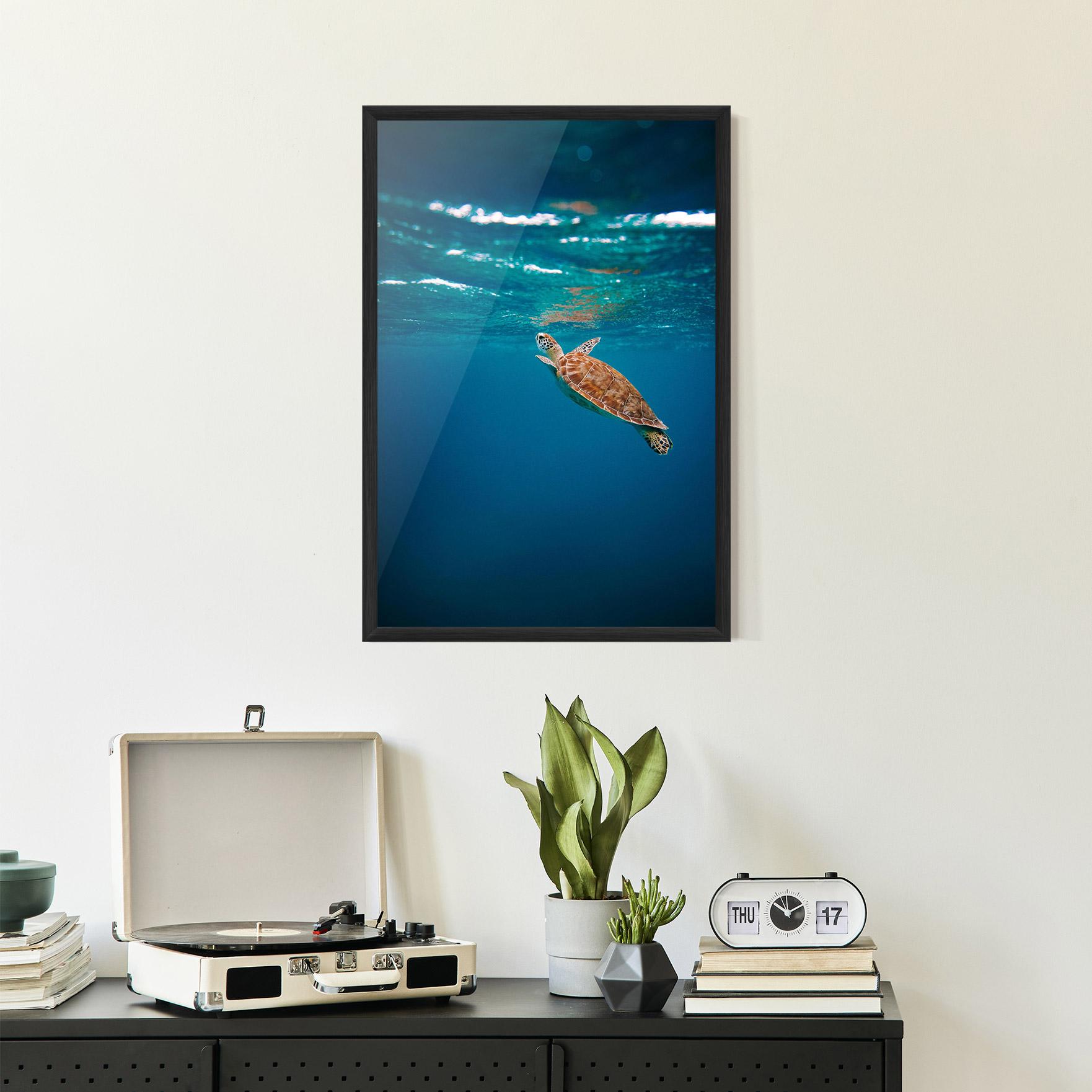 Plakat w Ramie Water Turtle mockup 2