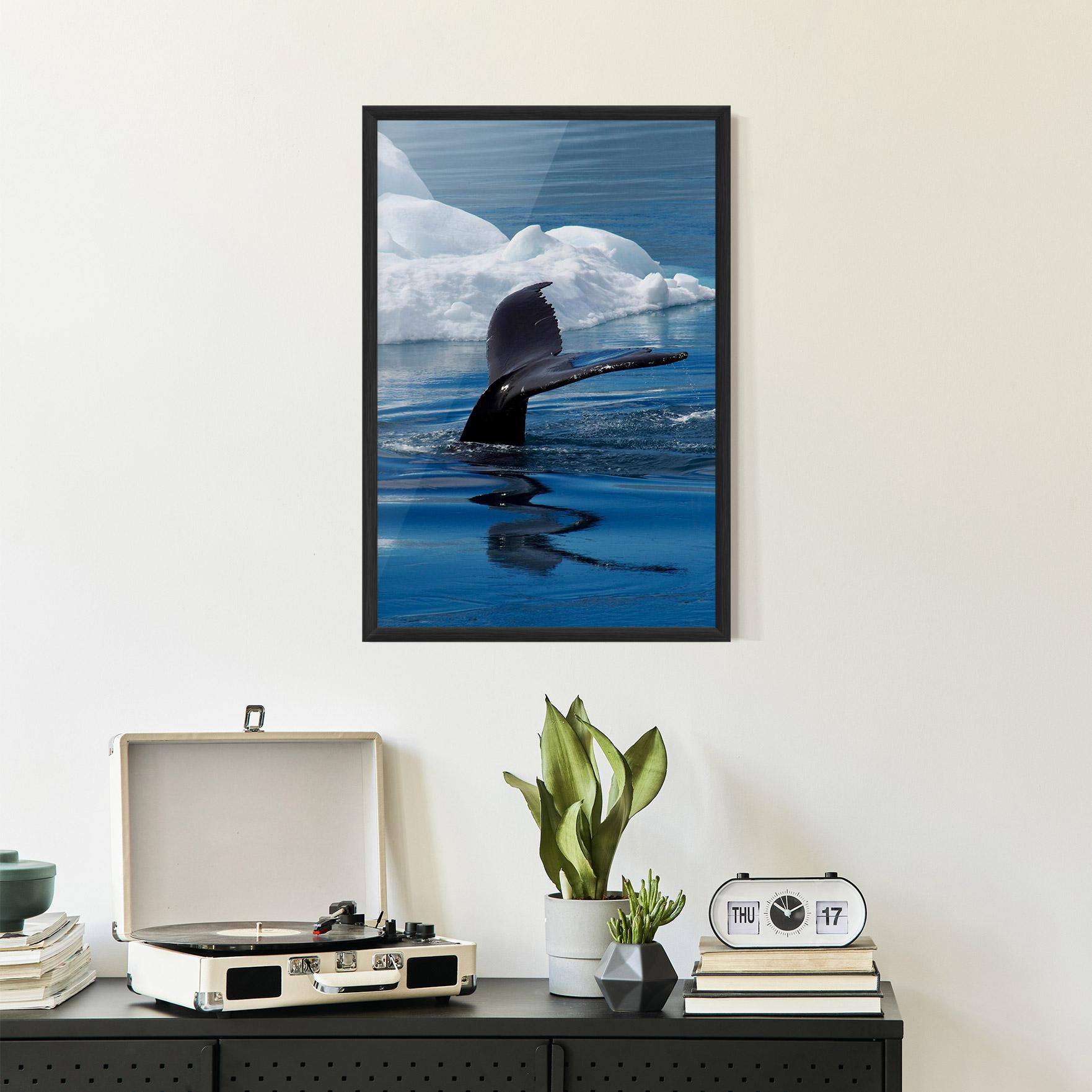 Plakat w Ramie Whale Tail mockup 2