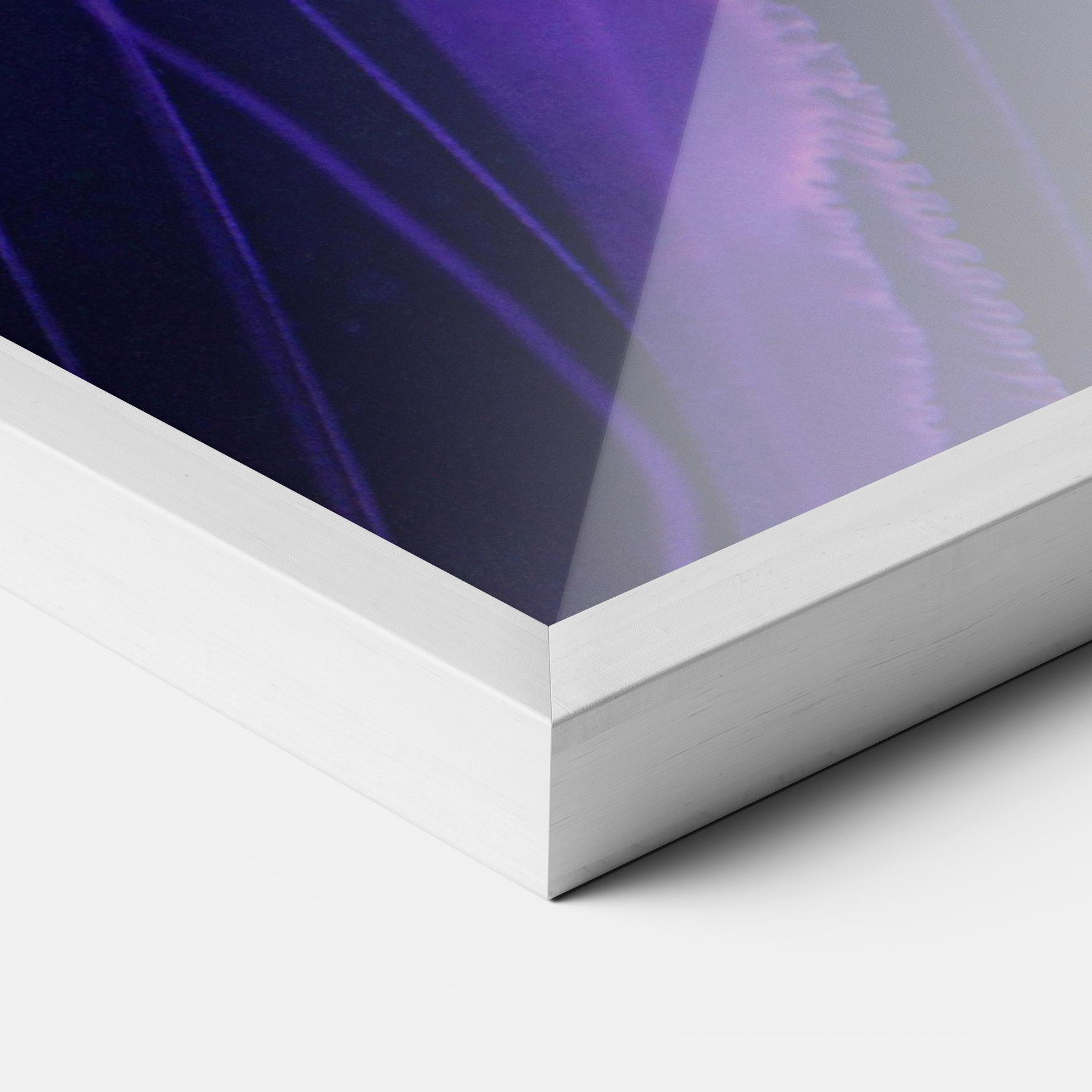 Plakat w Ramie Light Purple Jellyfish mockup 3